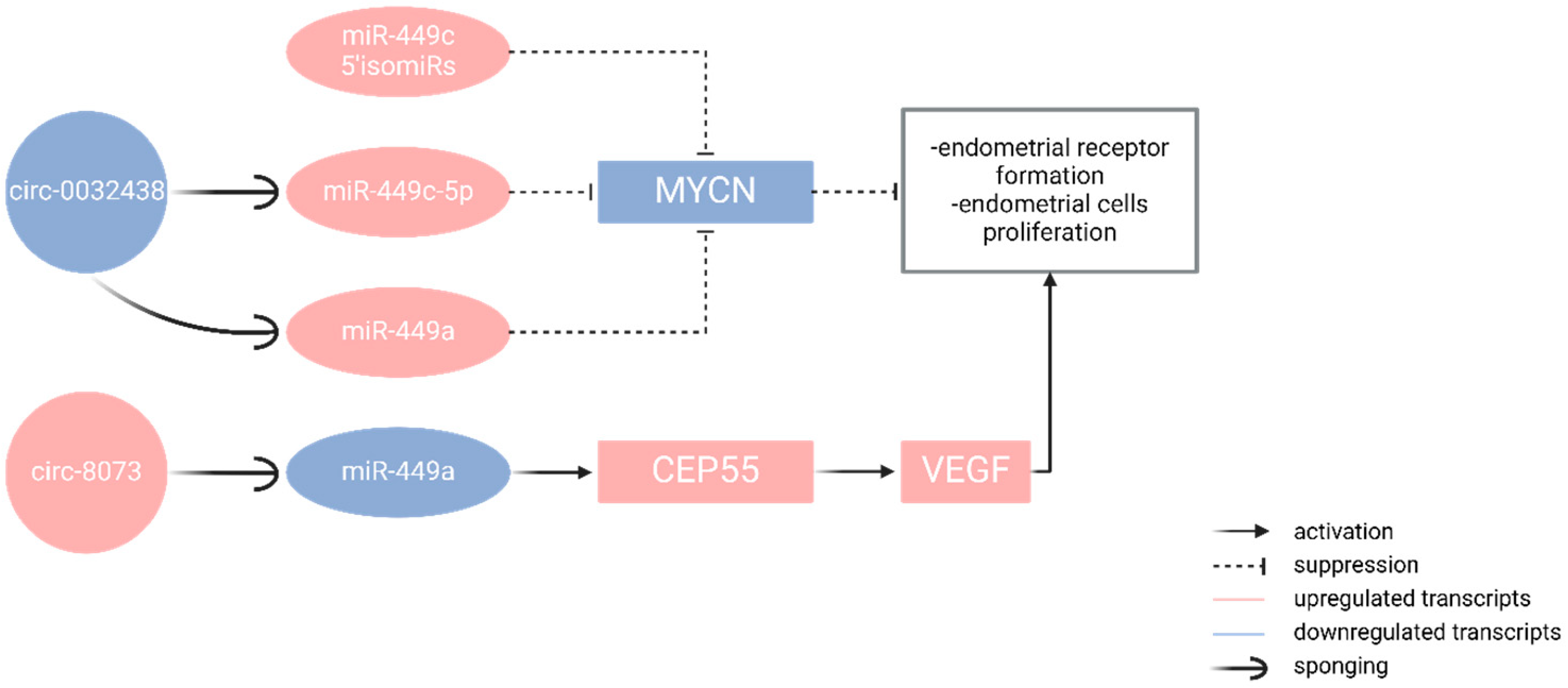 Epigenomes 09 00047 g006