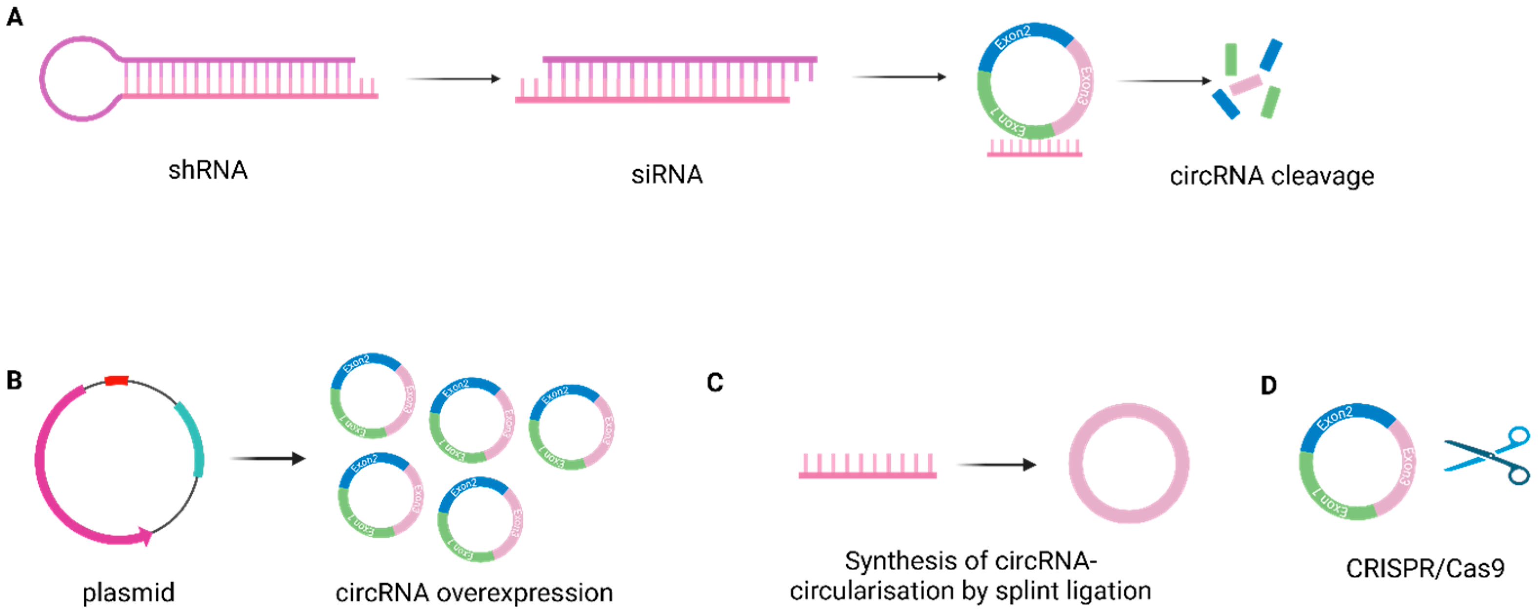 Epigenomes 09 00047 g007