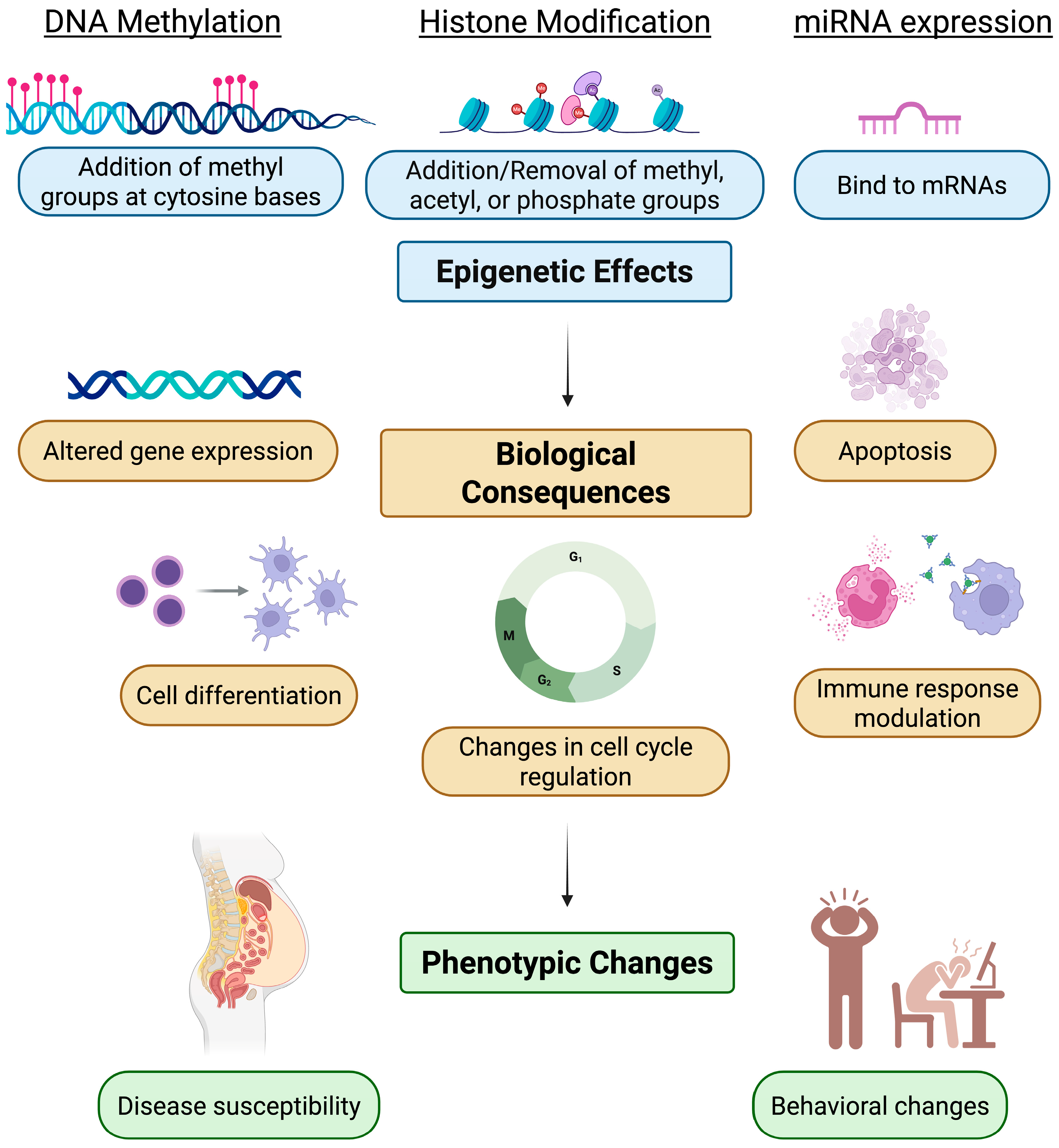 Epigenomes 09 00050 g001 Epigenomes 09 00050 g001
