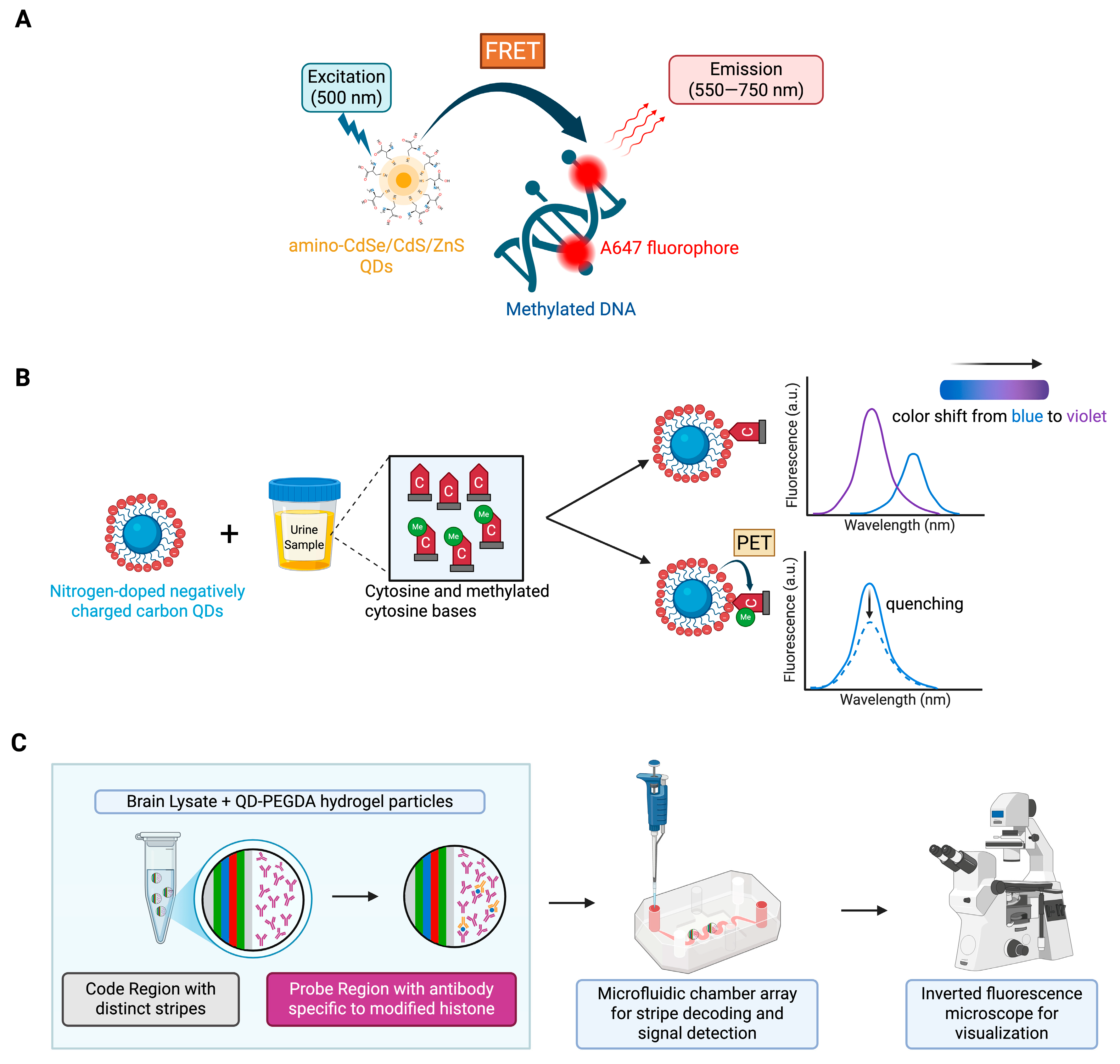 Epigenomes 09 00050 g002 Epigenomes 09 00050 g002