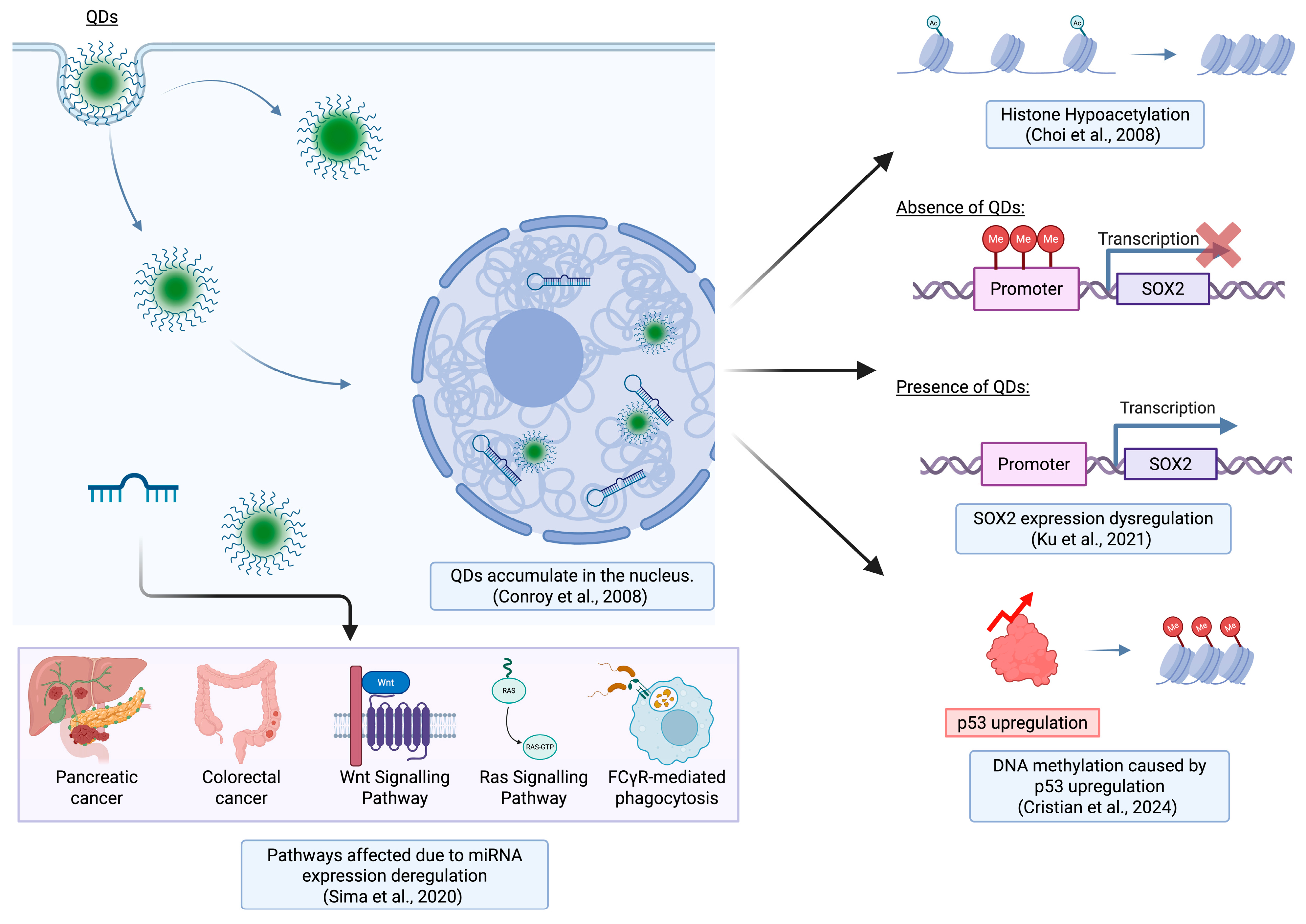 Epigenomes 09 00050 g003 Epigenomes 09 00050 g003
