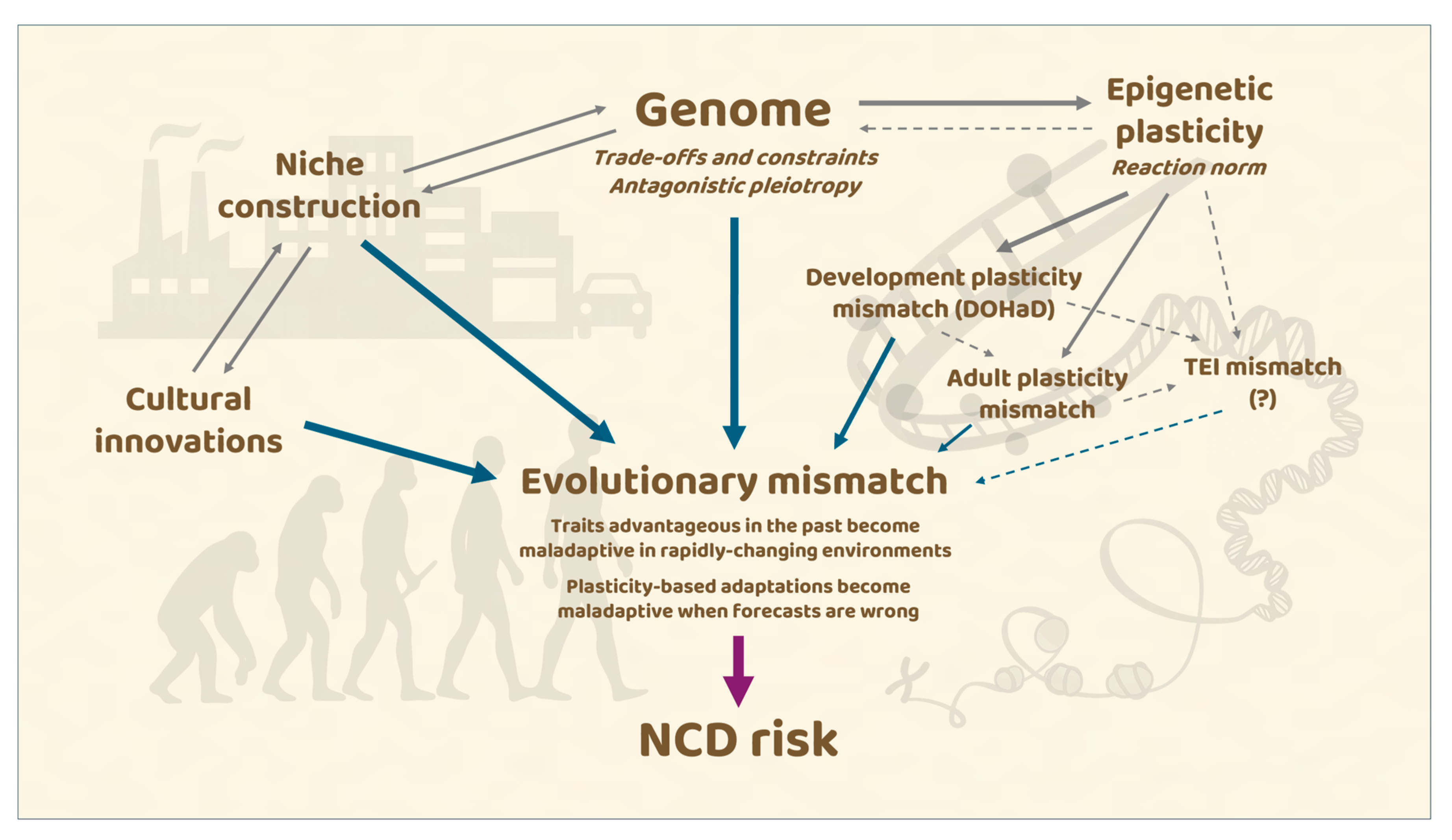 Epigenomes 09 00051 g001 Epigenomes 09 00051 g001