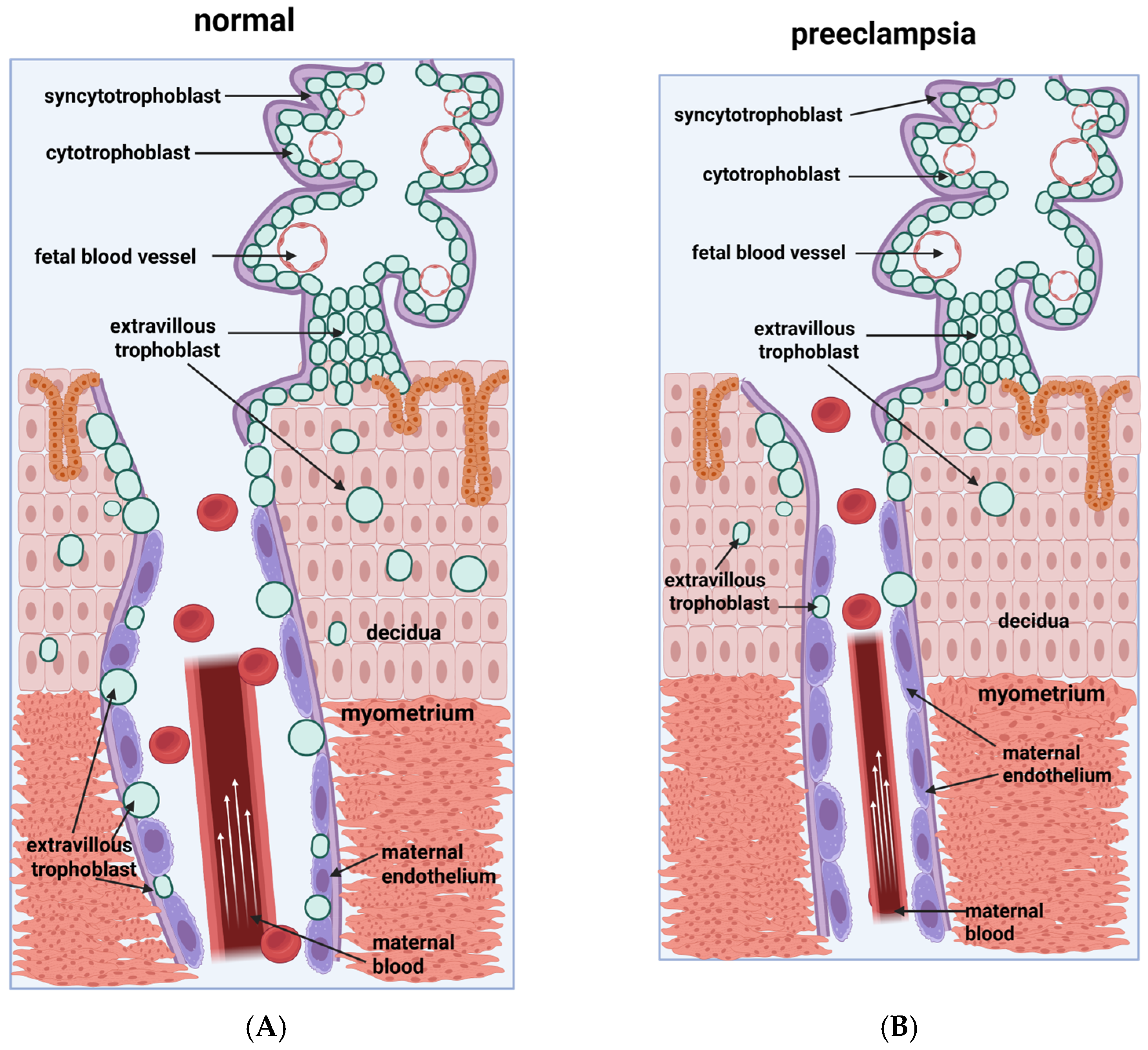 Epigenomes 10 00005 g002