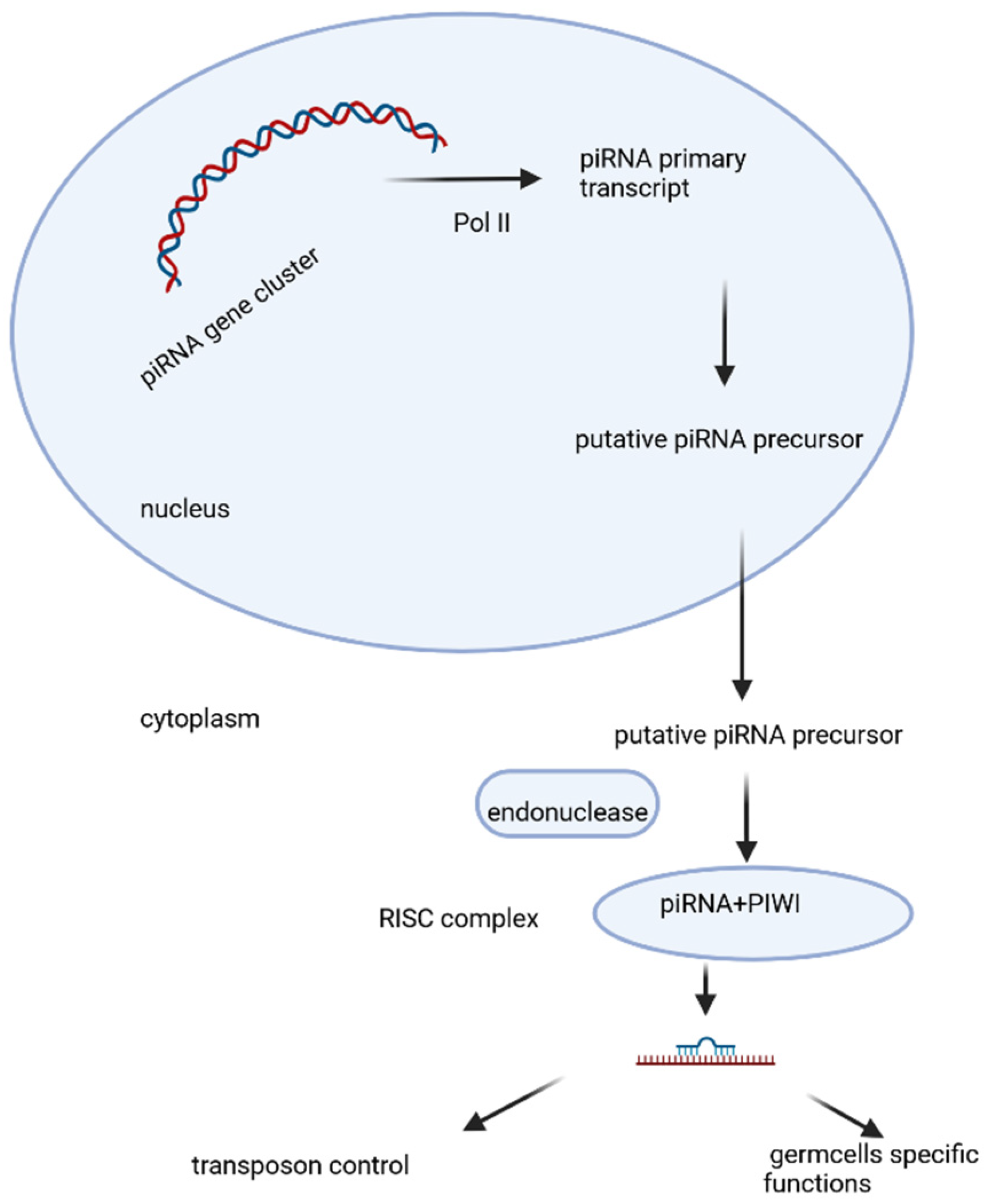 Epigenomes 10 00005 g003