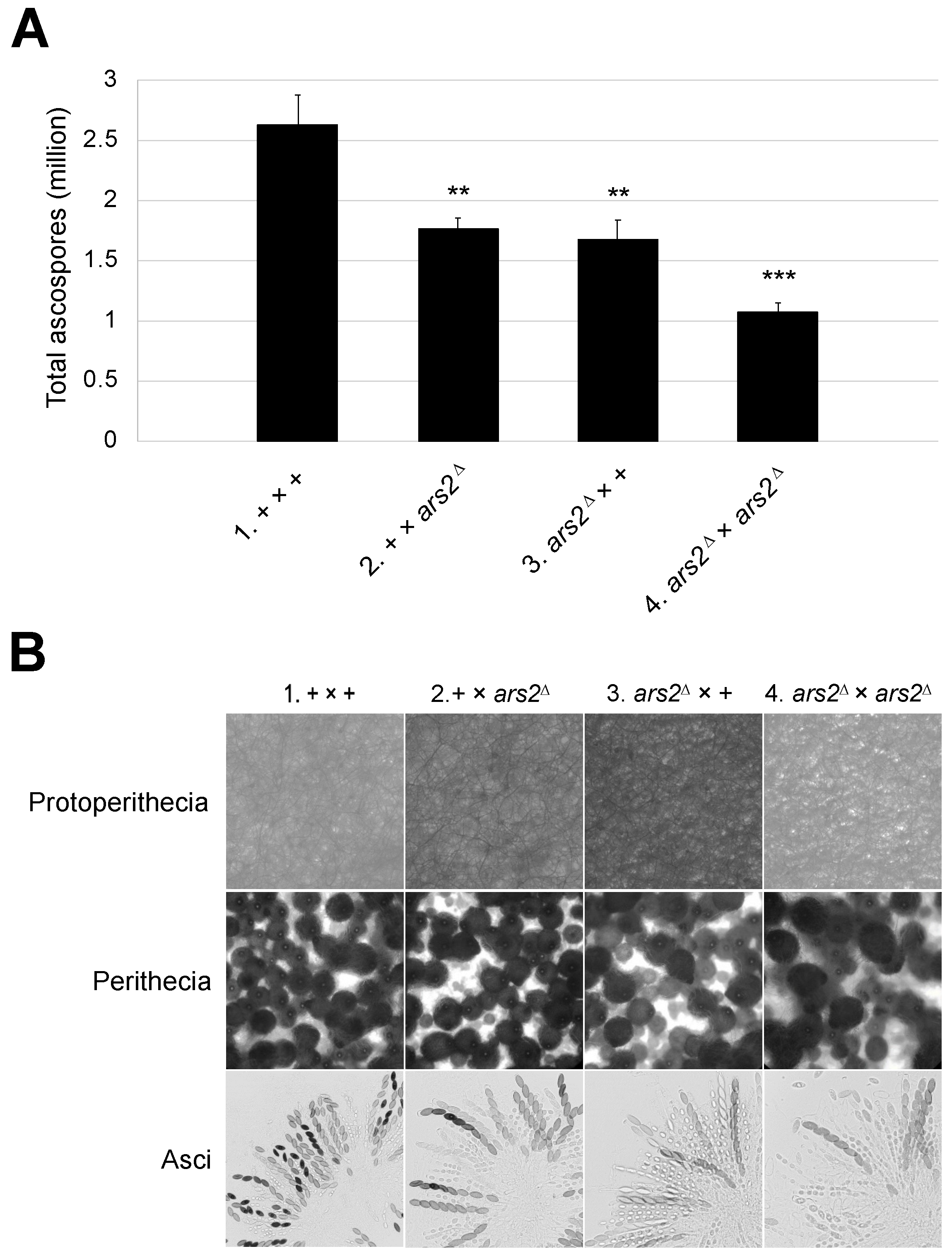 Epigenomes 10 00006 g003