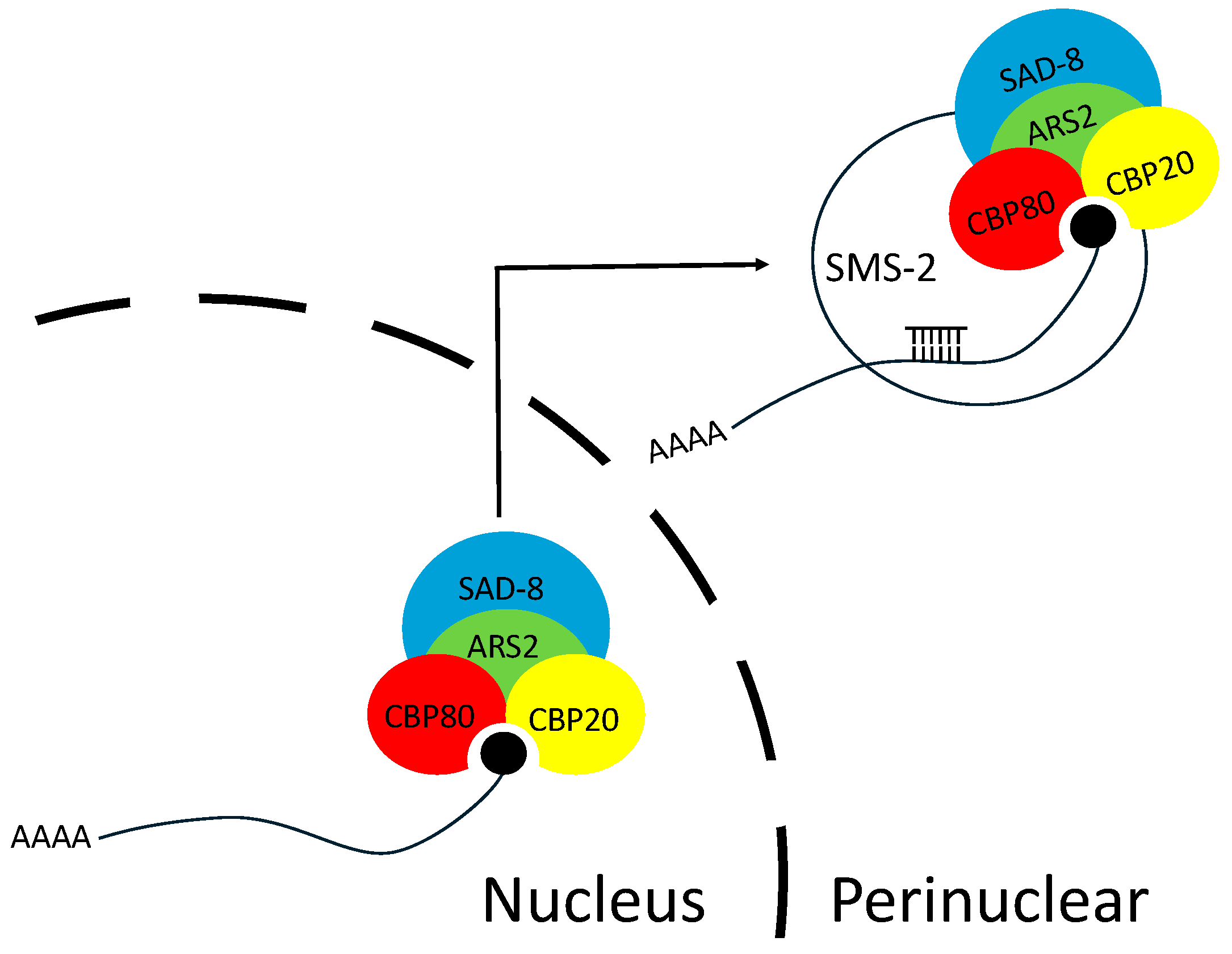 Epigenomes 10 00006 g006