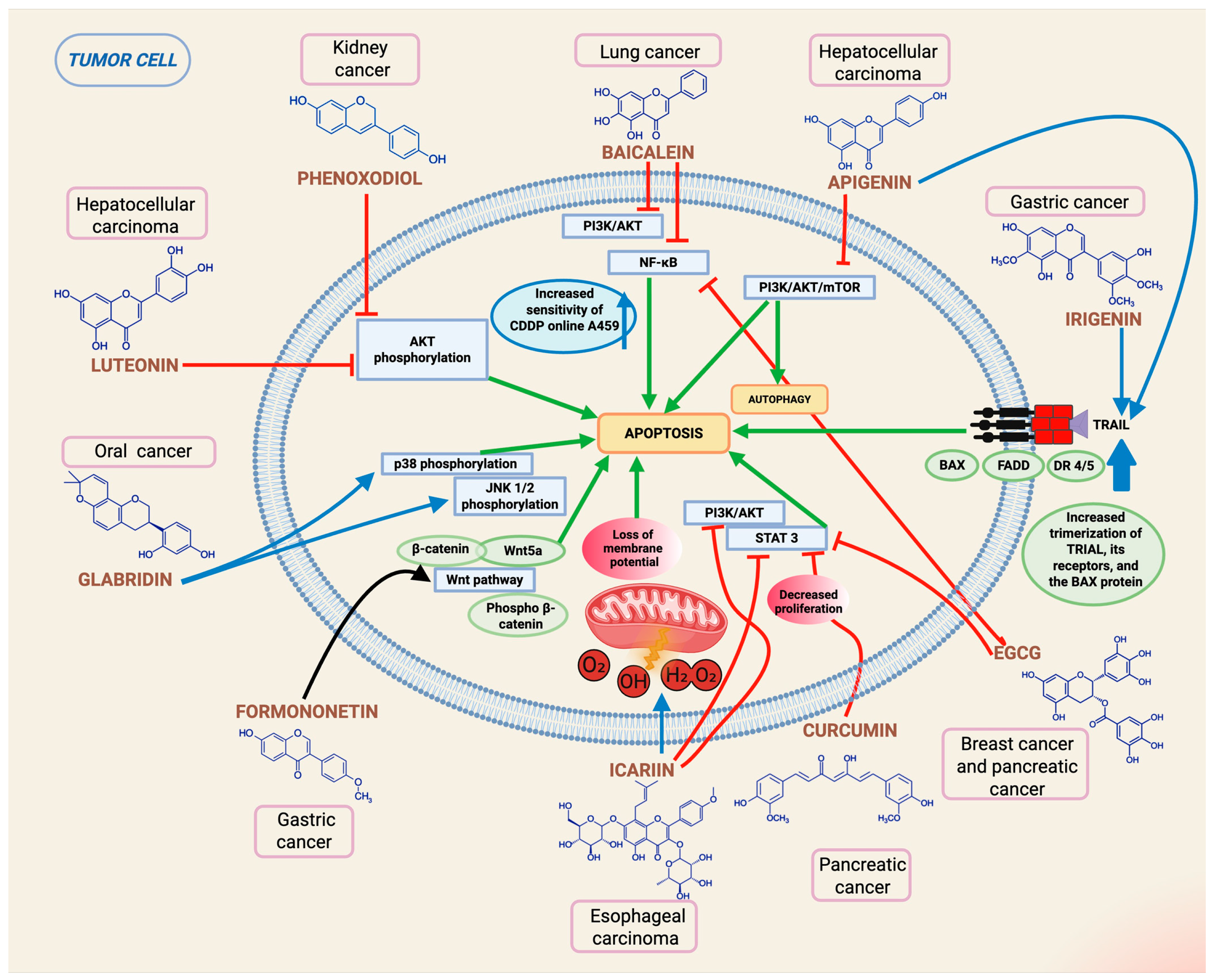 Epigenomes 10 00023 g002