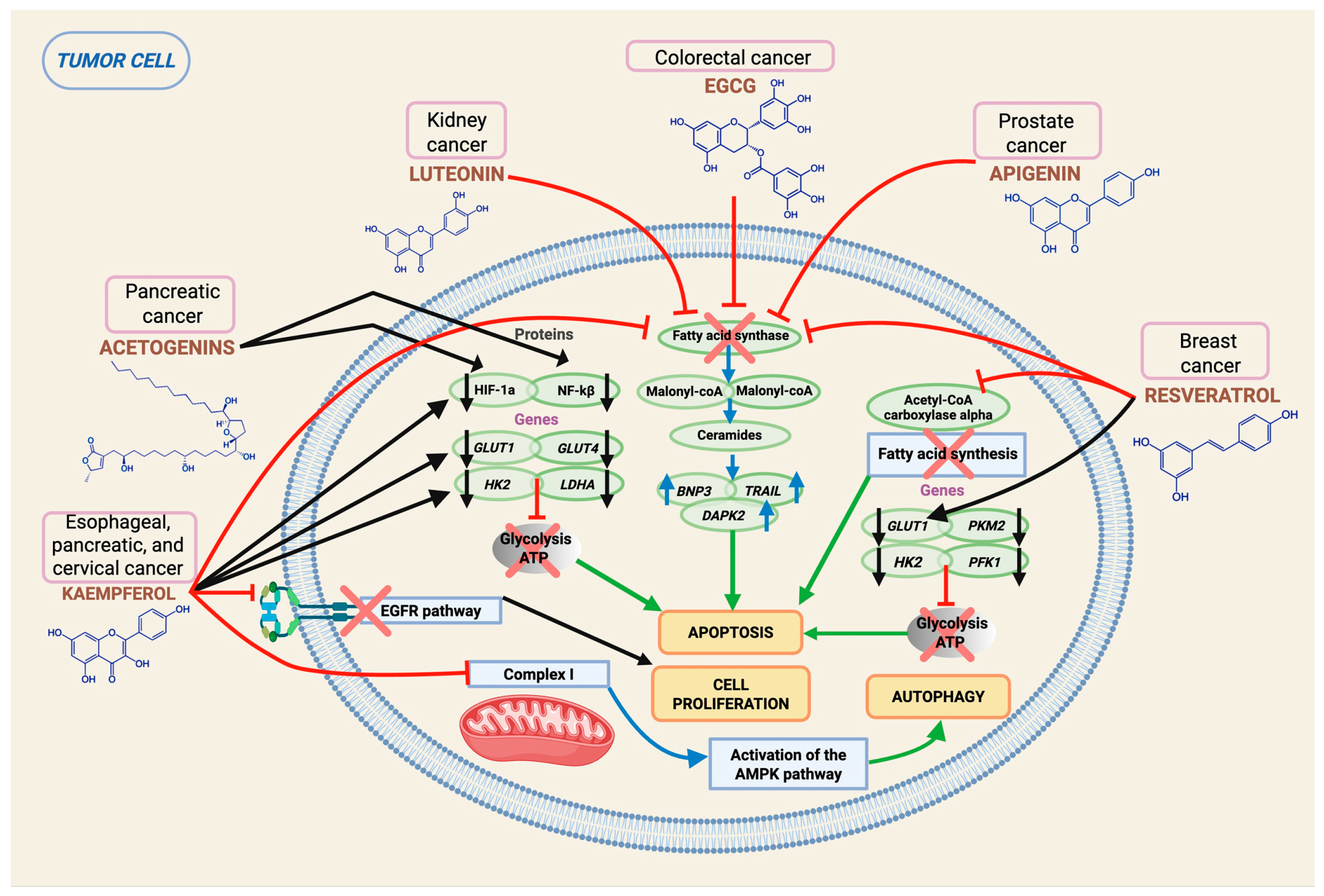 Epigenomes 10 00023 g003