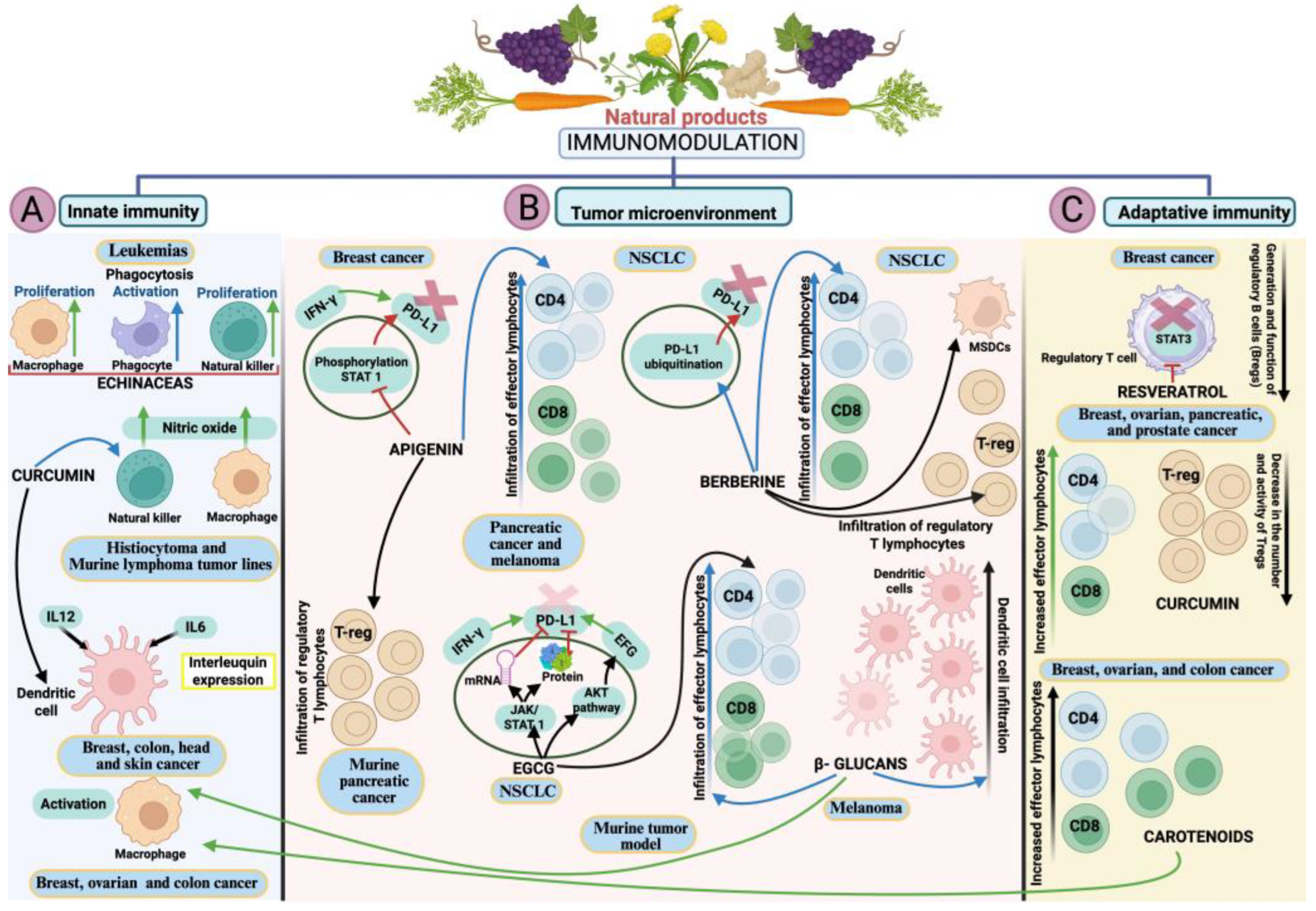 Epigenomes 10 00023 g004