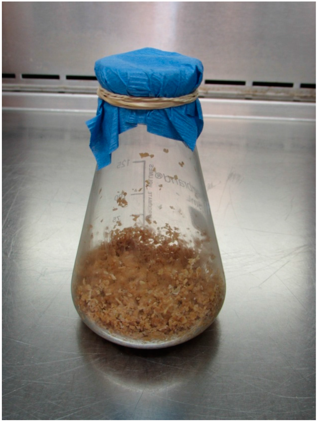 Fermentation - Fermentation 01 00013 G001 1024
