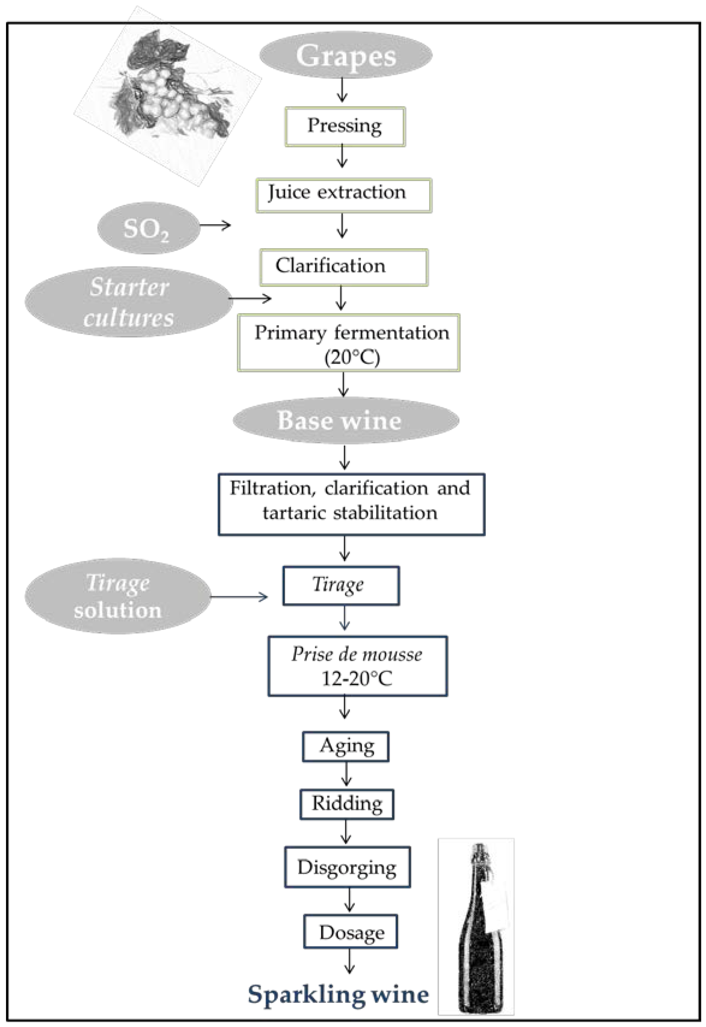 Coca Cola Process Flow Chart