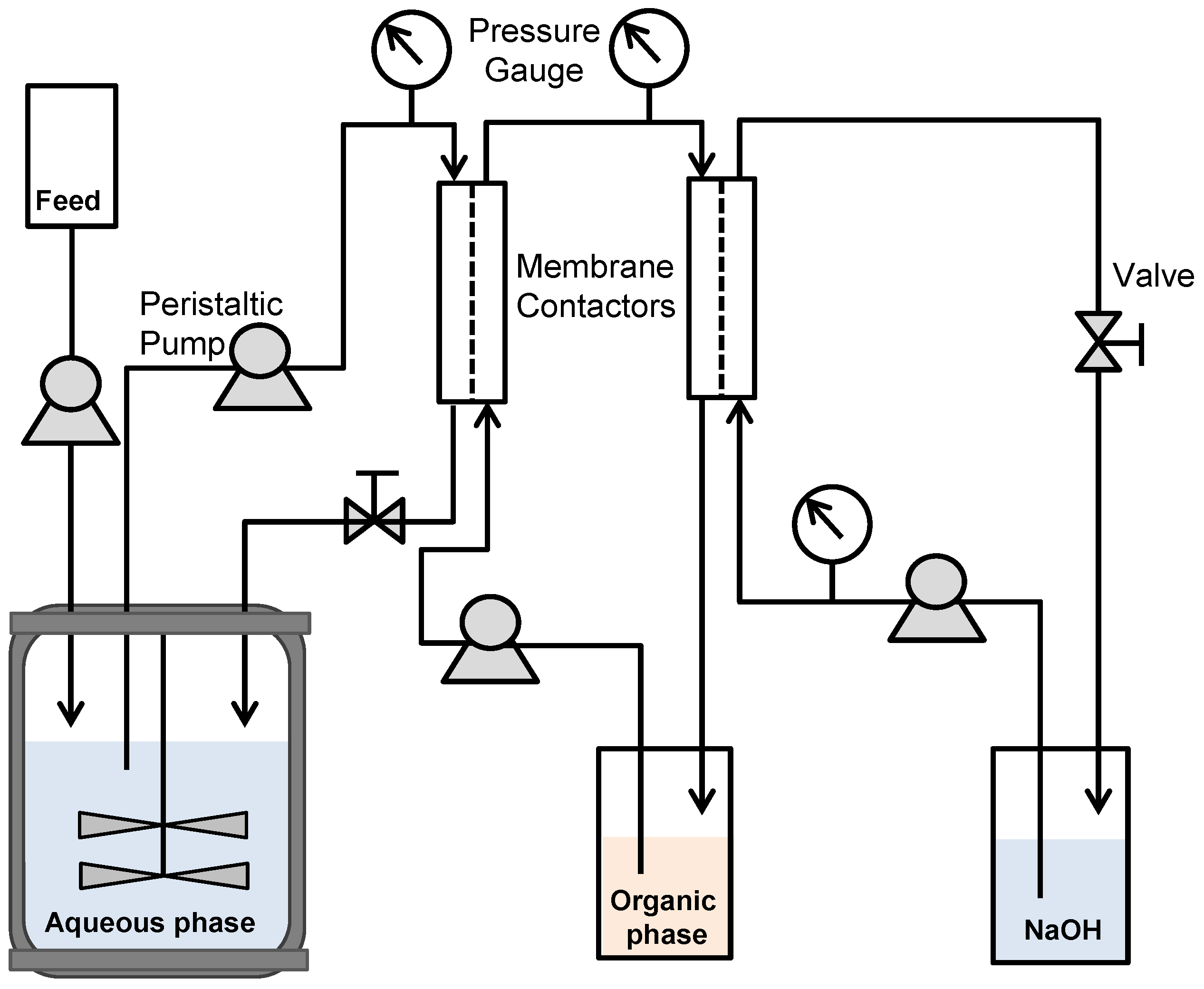 Fermentation 03 00010 g001