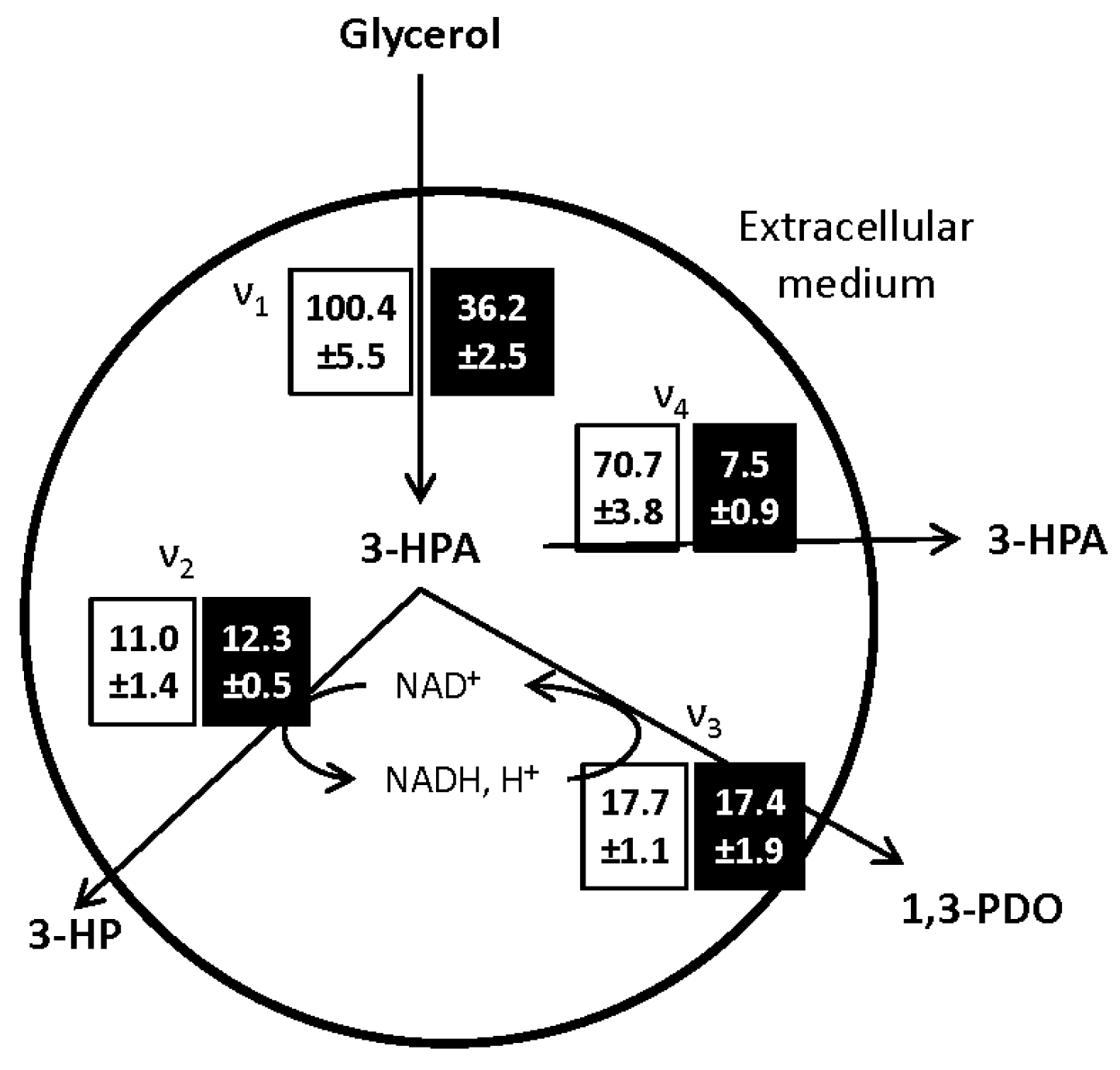 Fermentation 03 00032 g004 550