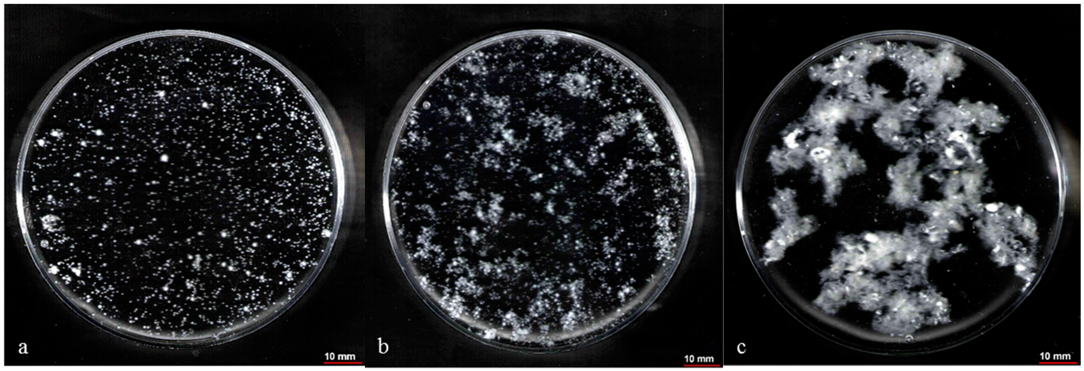 Fermentation 03 00033 g009
