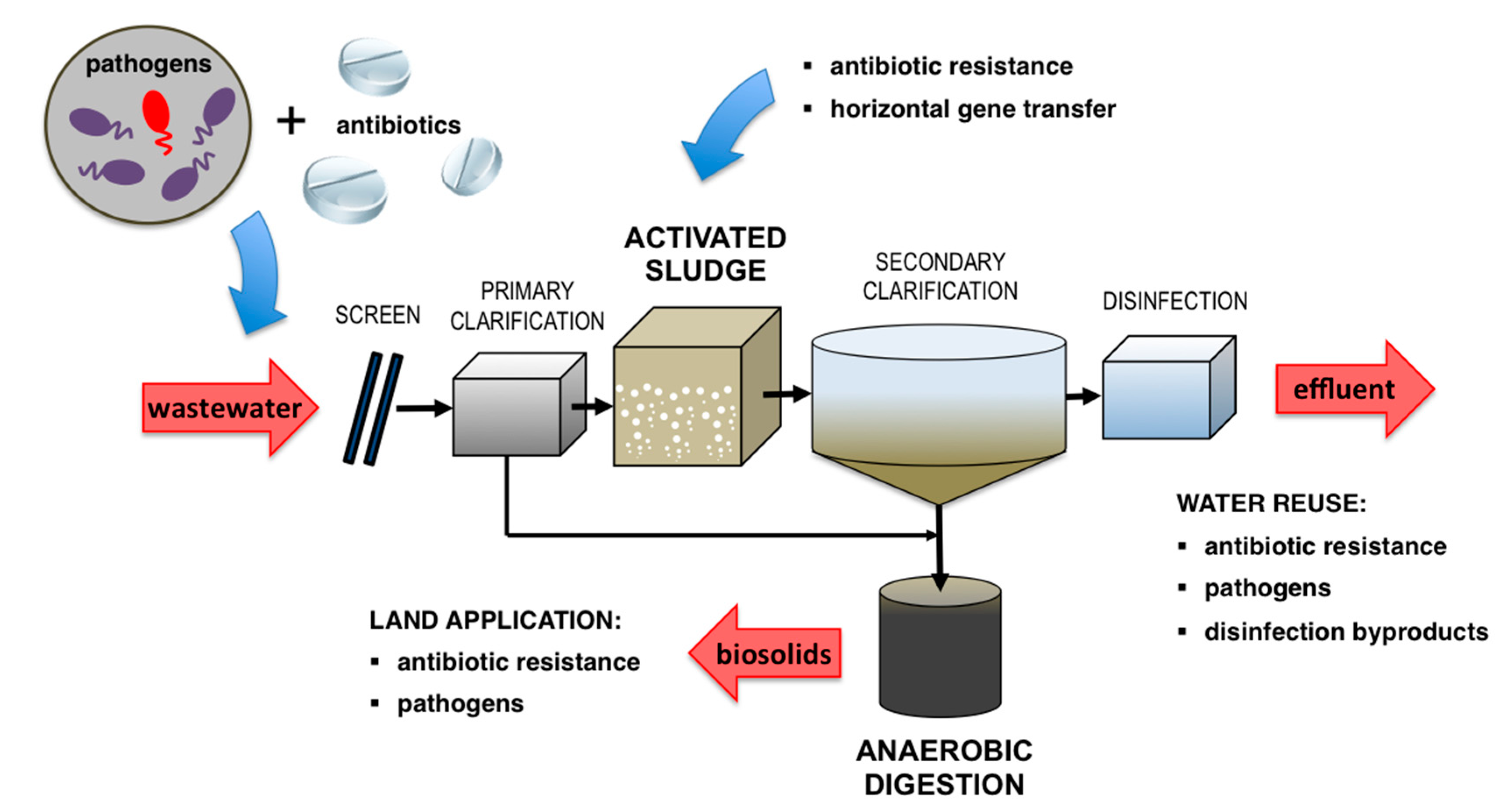 Fermentation - Fermentation 03 00039 G002