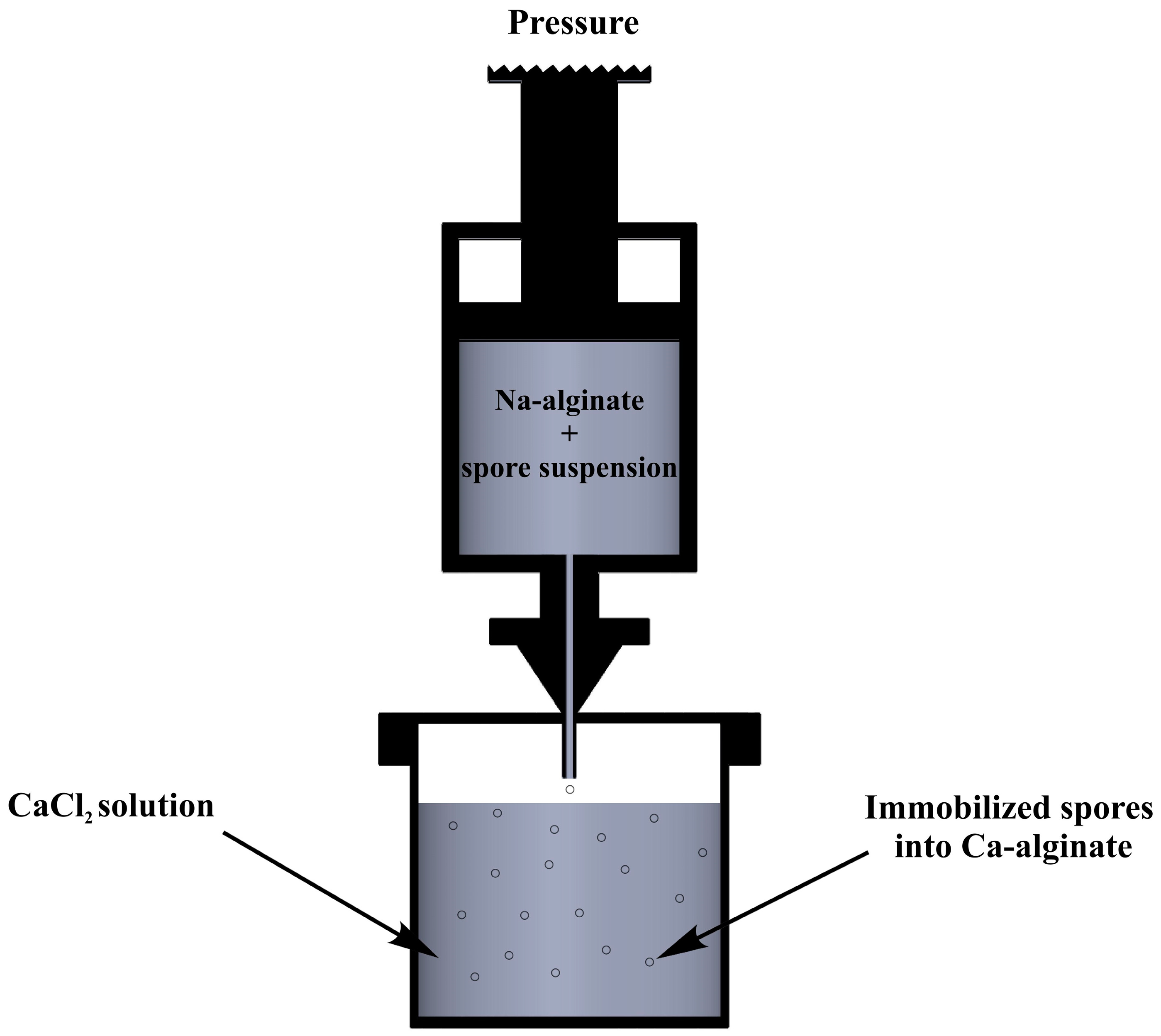 Fermentation 03 00057 g001