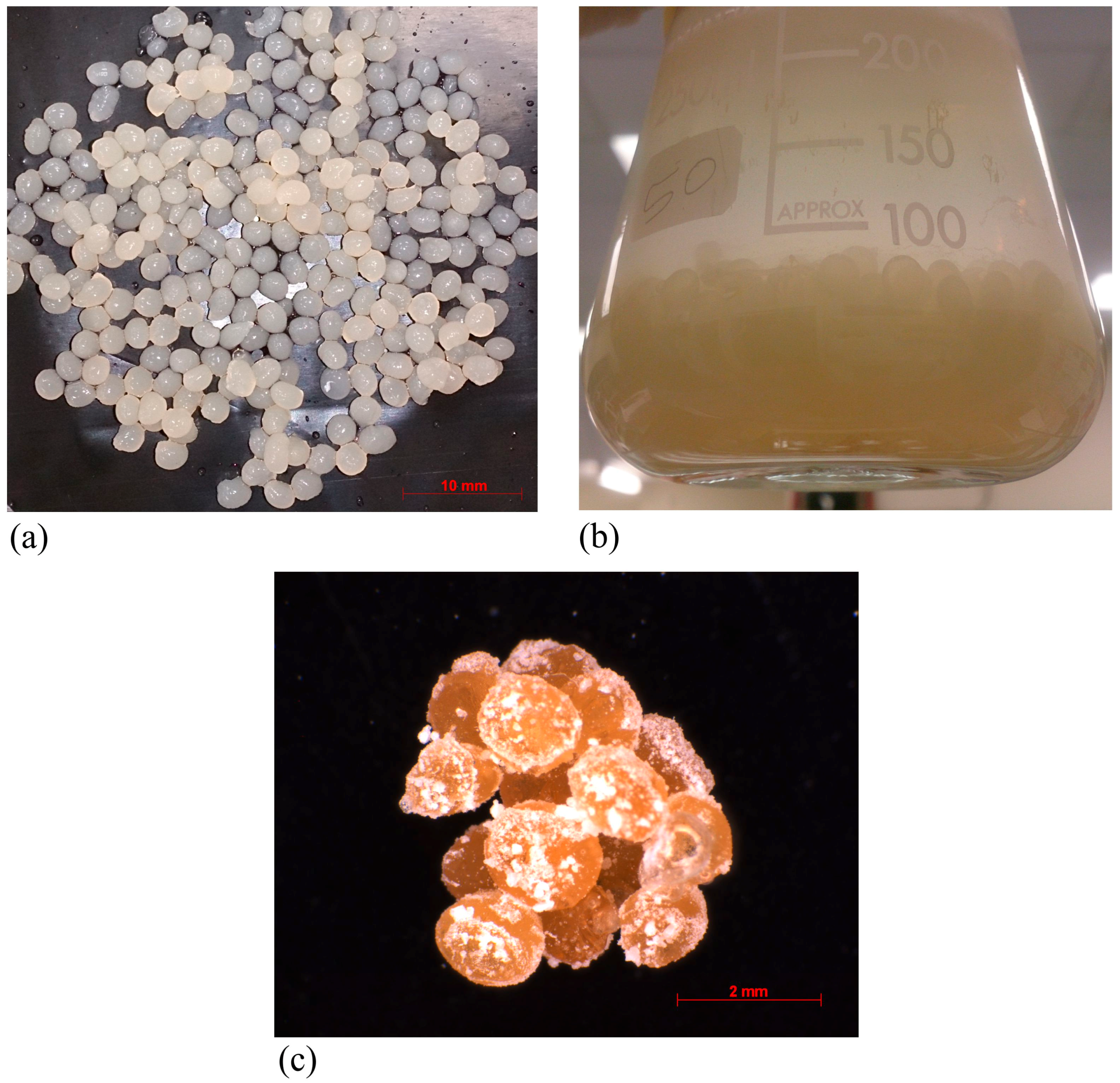 Fermentation 03 00057 g002