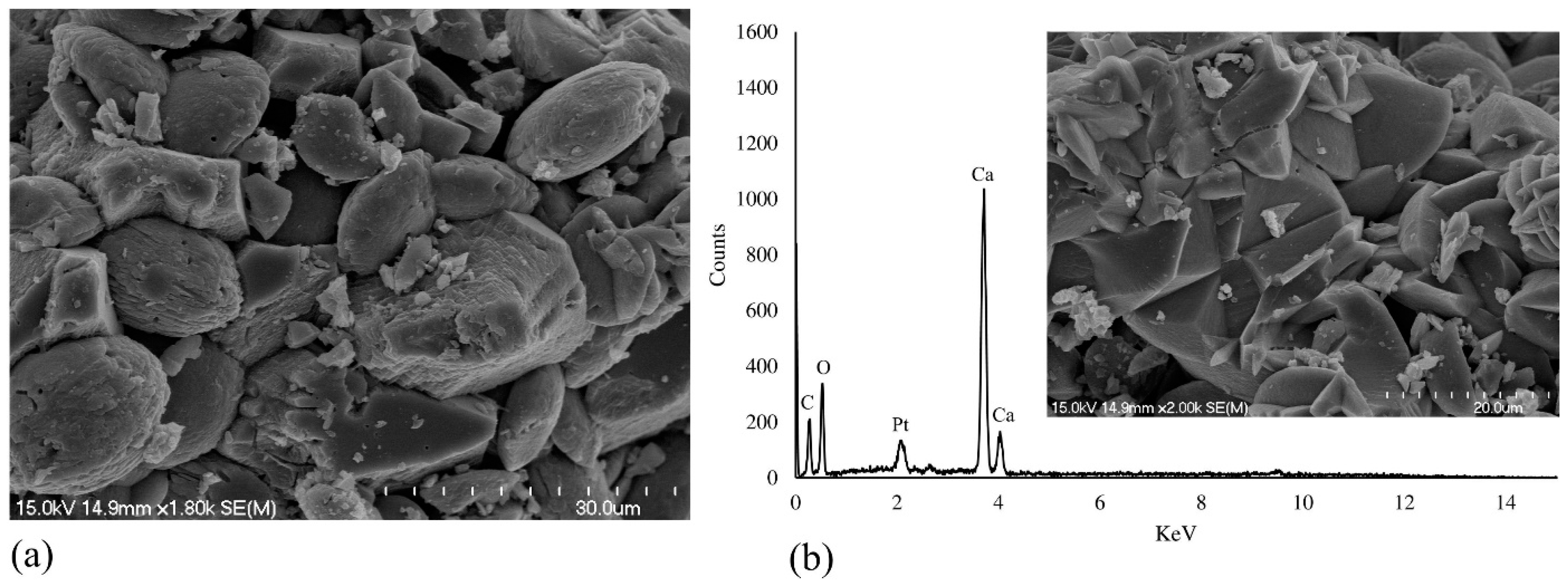 Fermentation 03 00057 g004