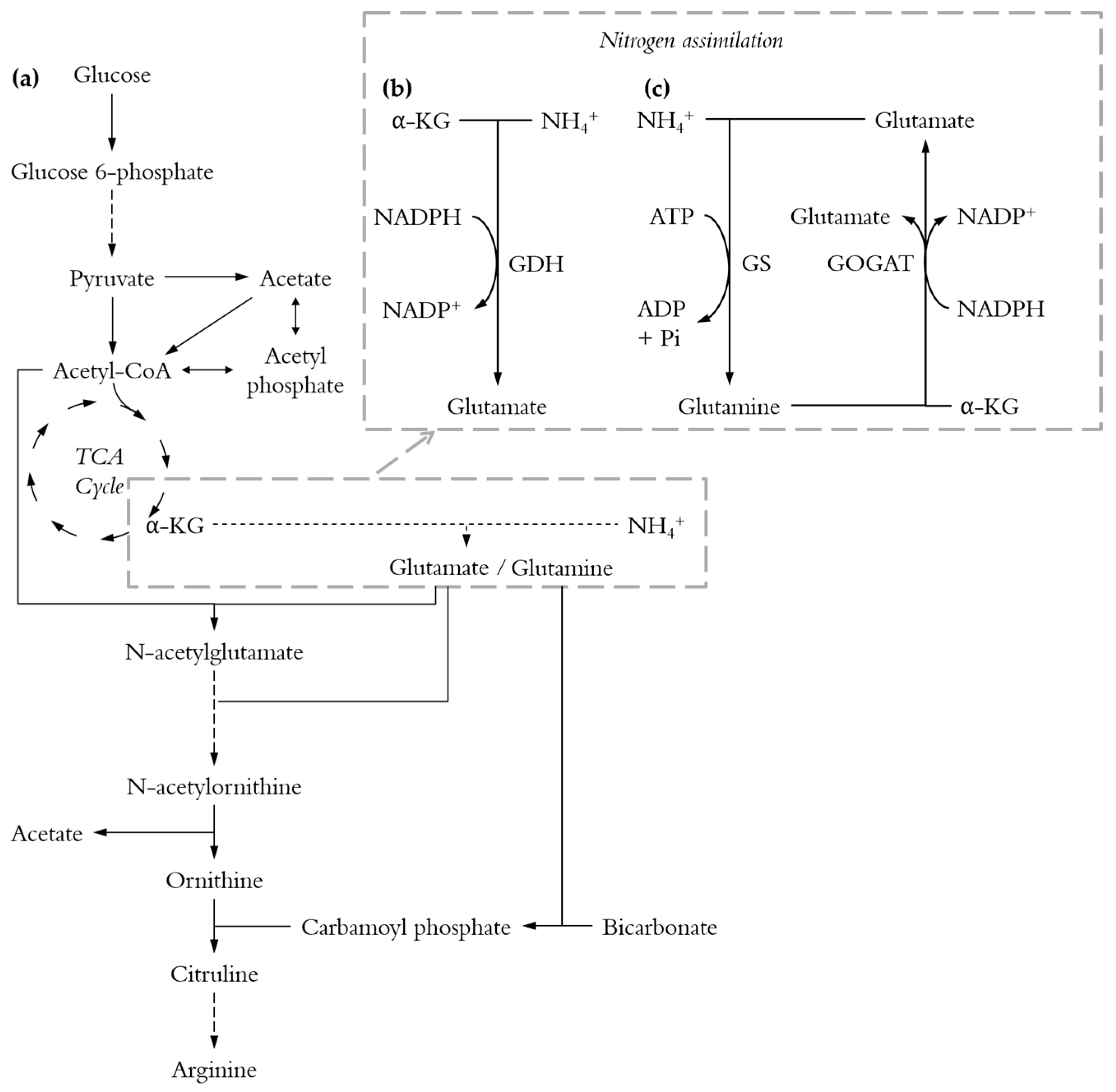 Fermentation 03 00060 g001
