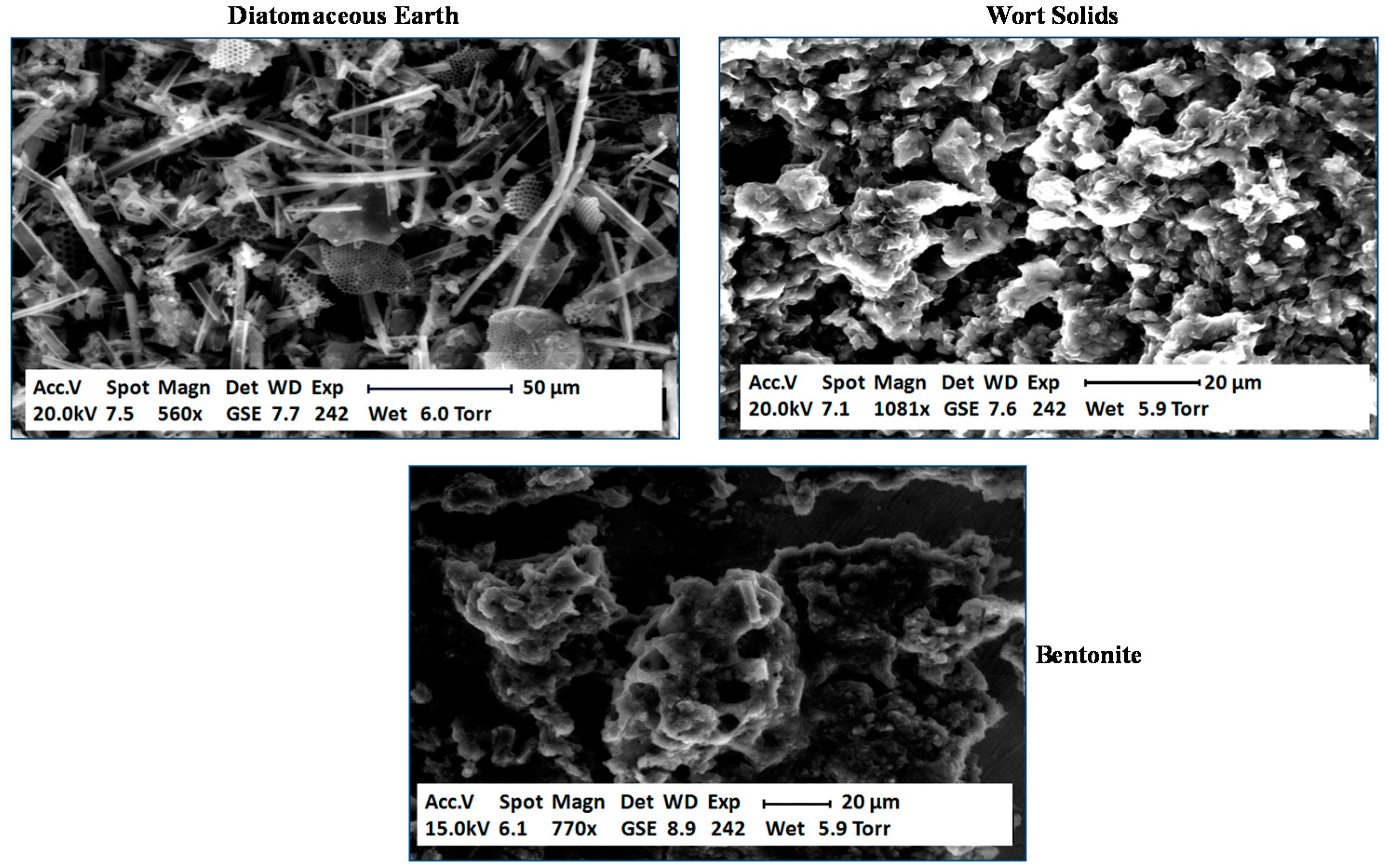 Fermentation 03 00063 g010