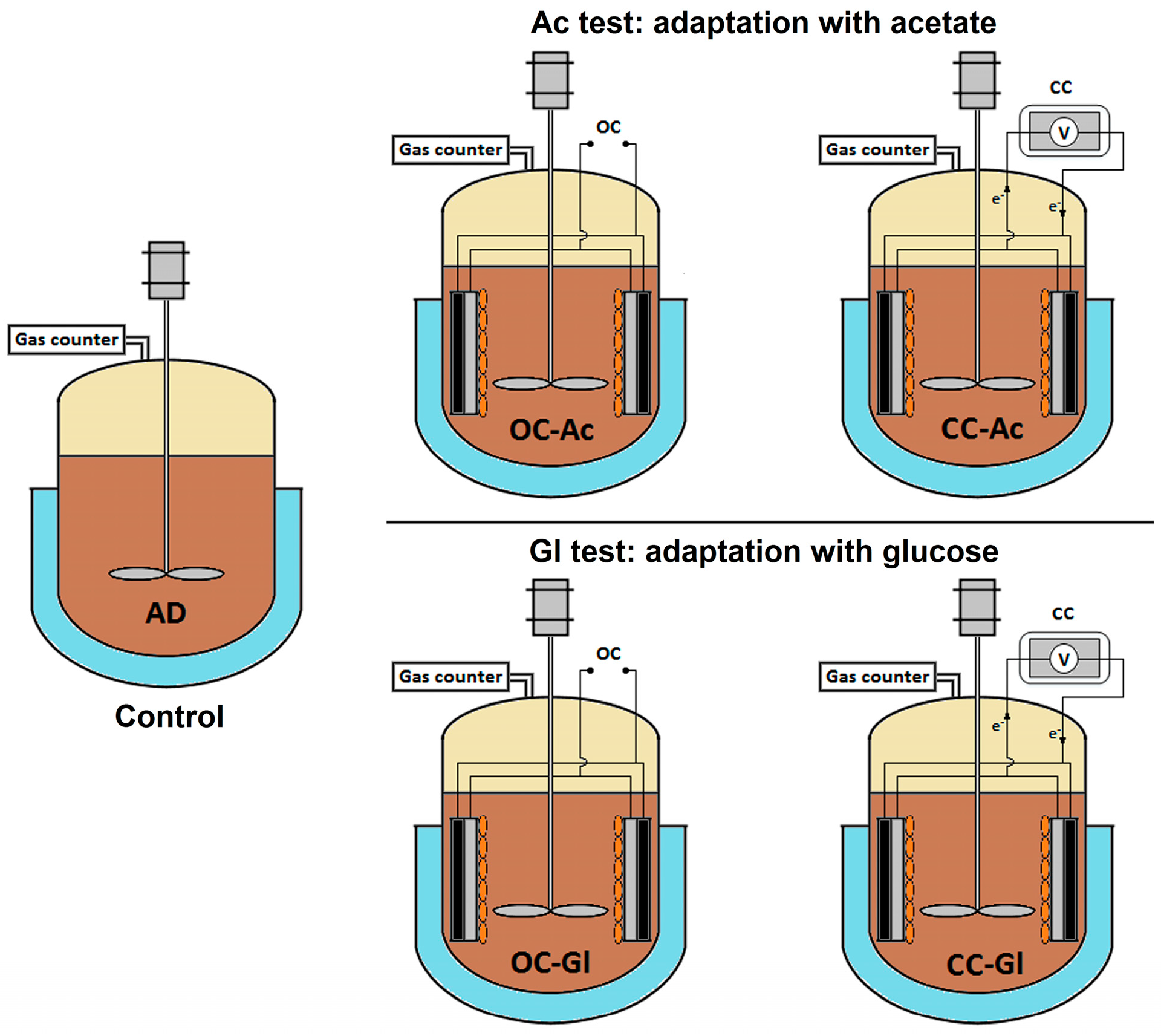 Fermentation - Fermentation 04 00002 G001