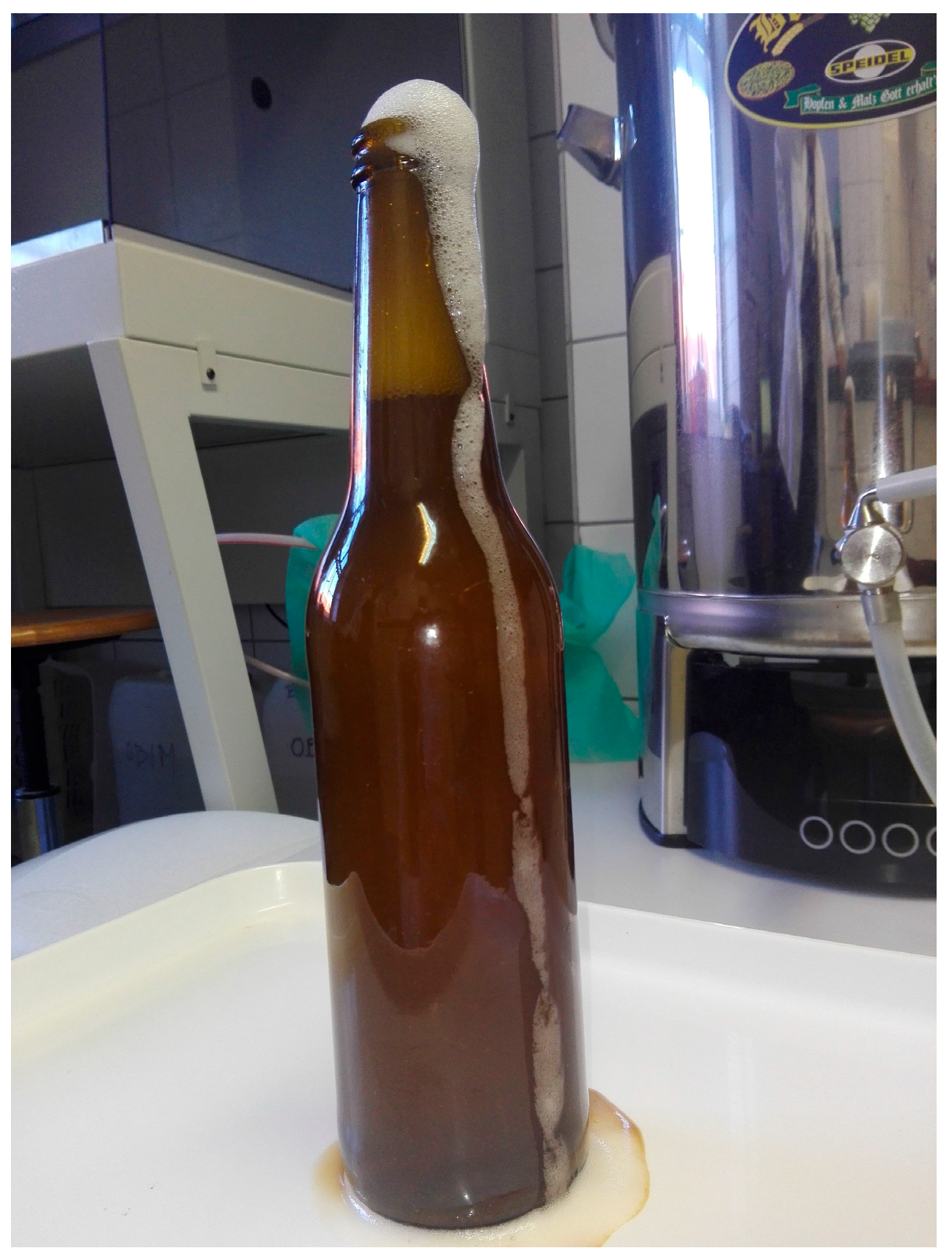 Fermentation Free FullText Malting and Brewing Industries