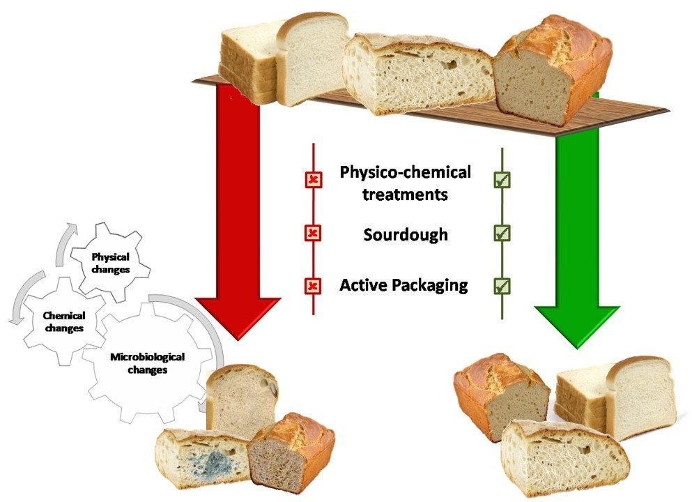 Bread Fermentation Flow Chart