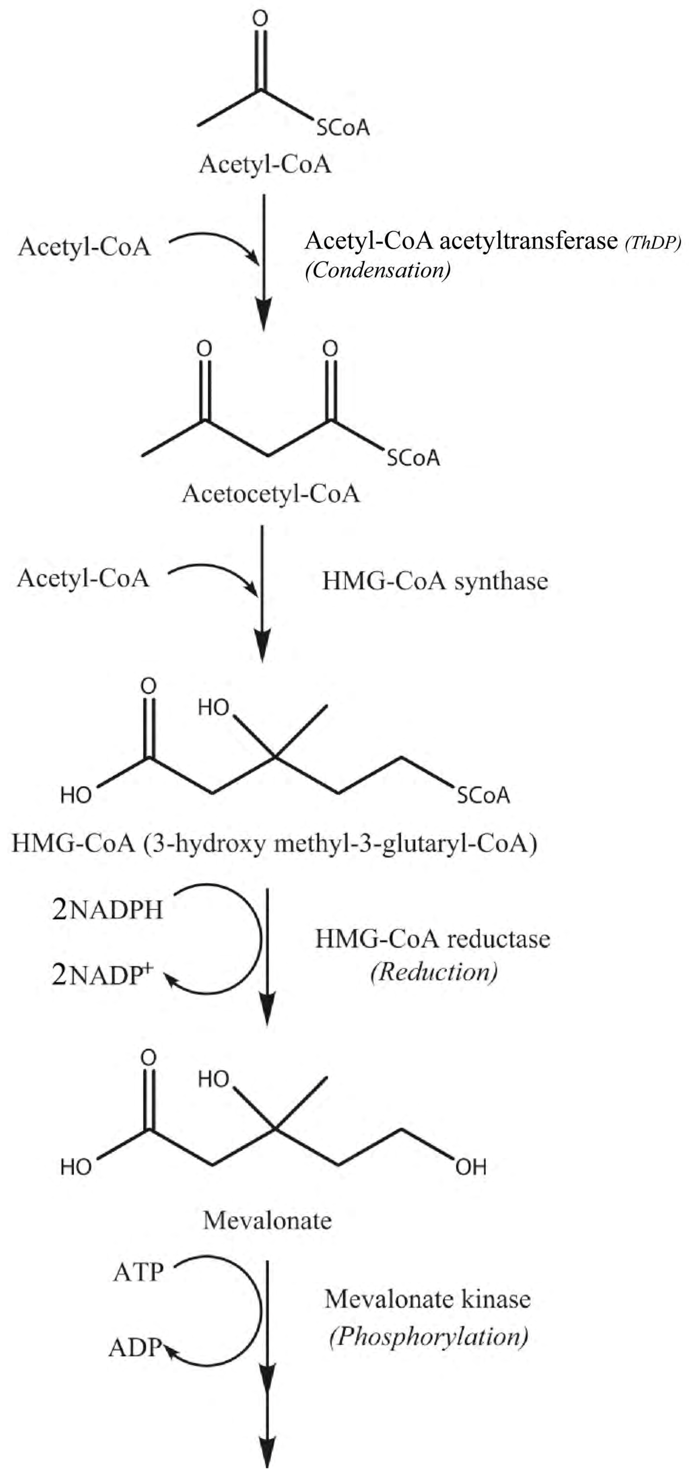 Fermentation 04 00011 g005a Fermentation 04 00011 g005a