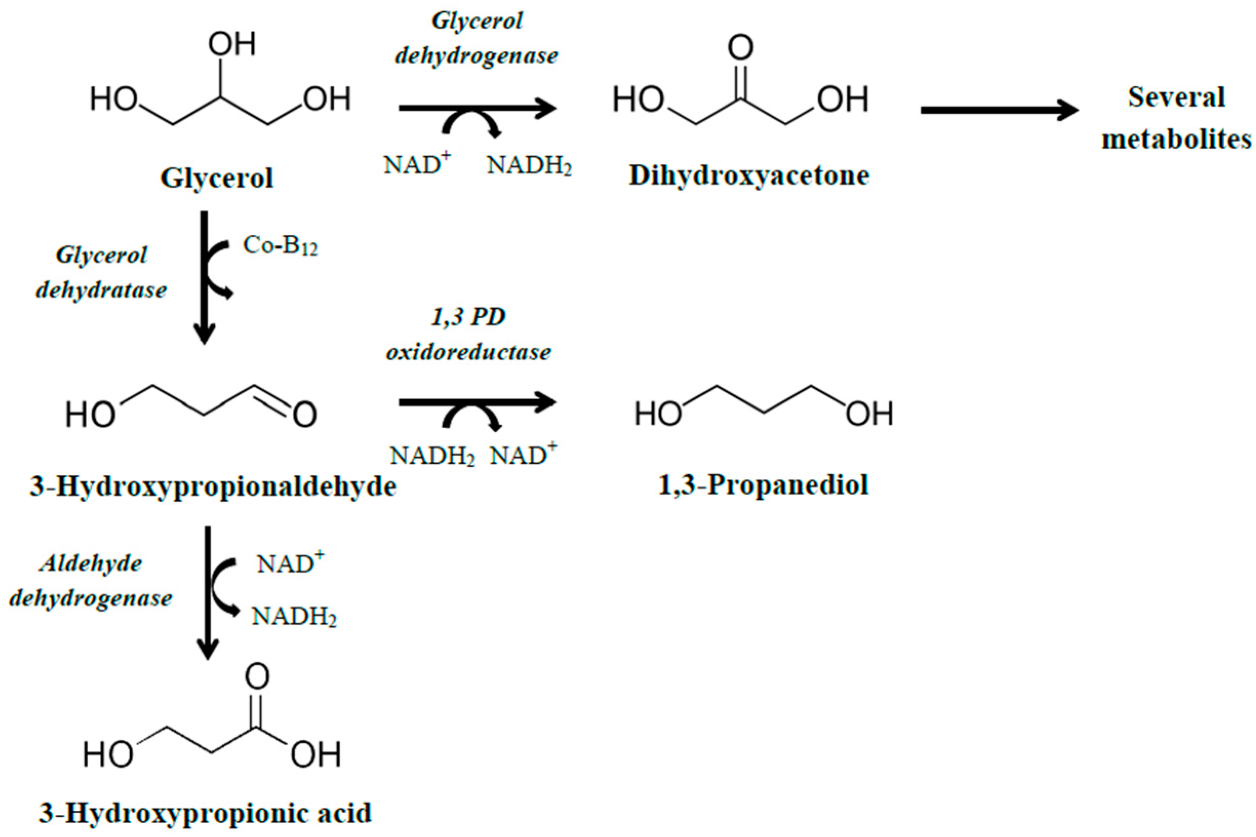 Fermentation Free Full Text Biological Production Of 3 Hydroxypropionic Acid An Update On The Current Status