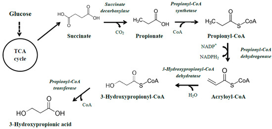 Fermentation Free Full Text Biological Production Of 3 Hydroxypropionic Acid An Update On The Current Status