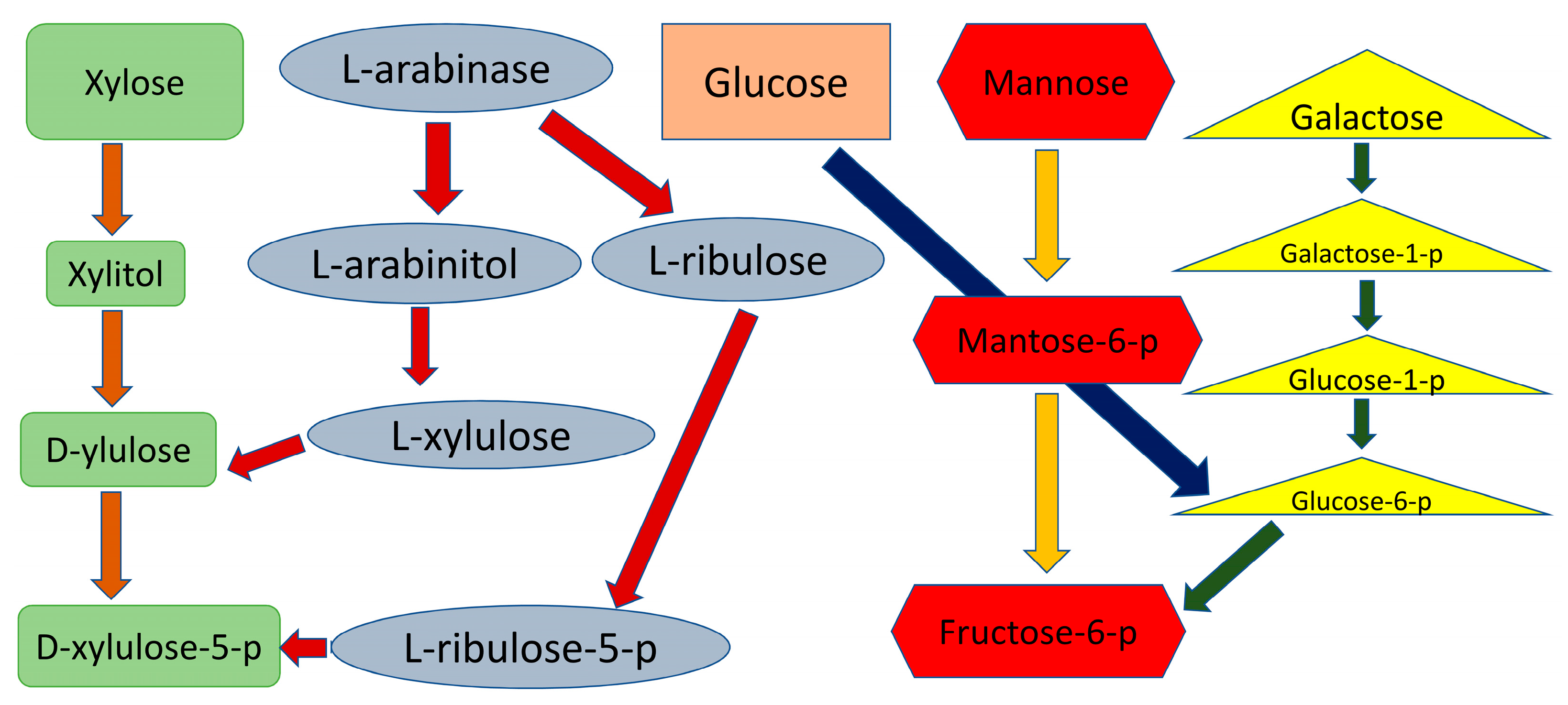 Fermentation 04 00016 g002 Fermentation 04 00016 g002