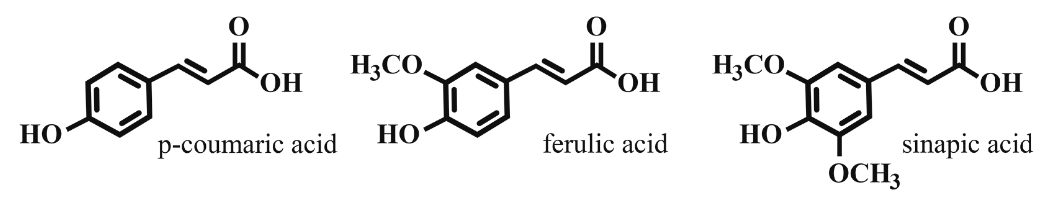 Fermentation 04 00020 g001