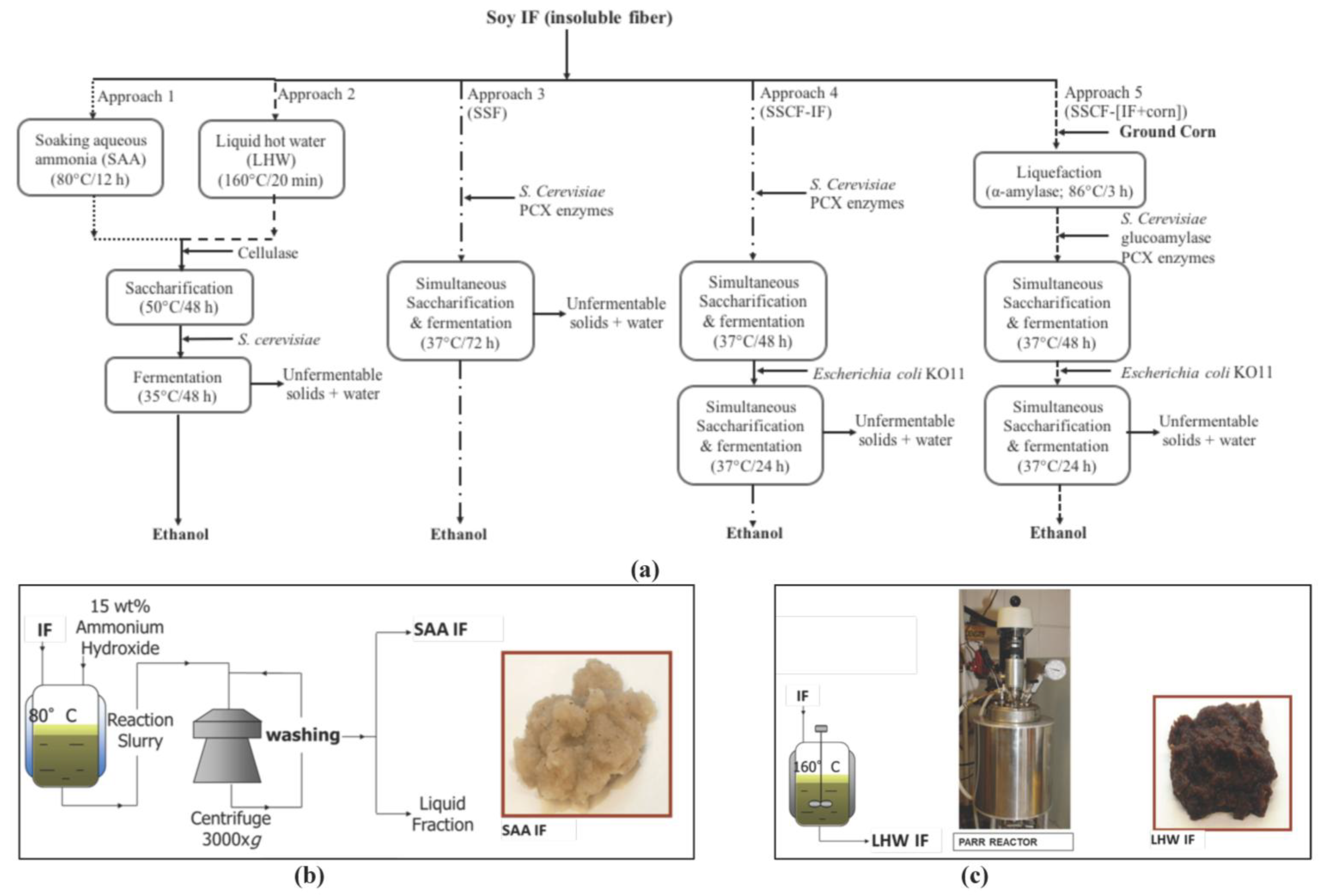 Fermentation 04 00035 g001