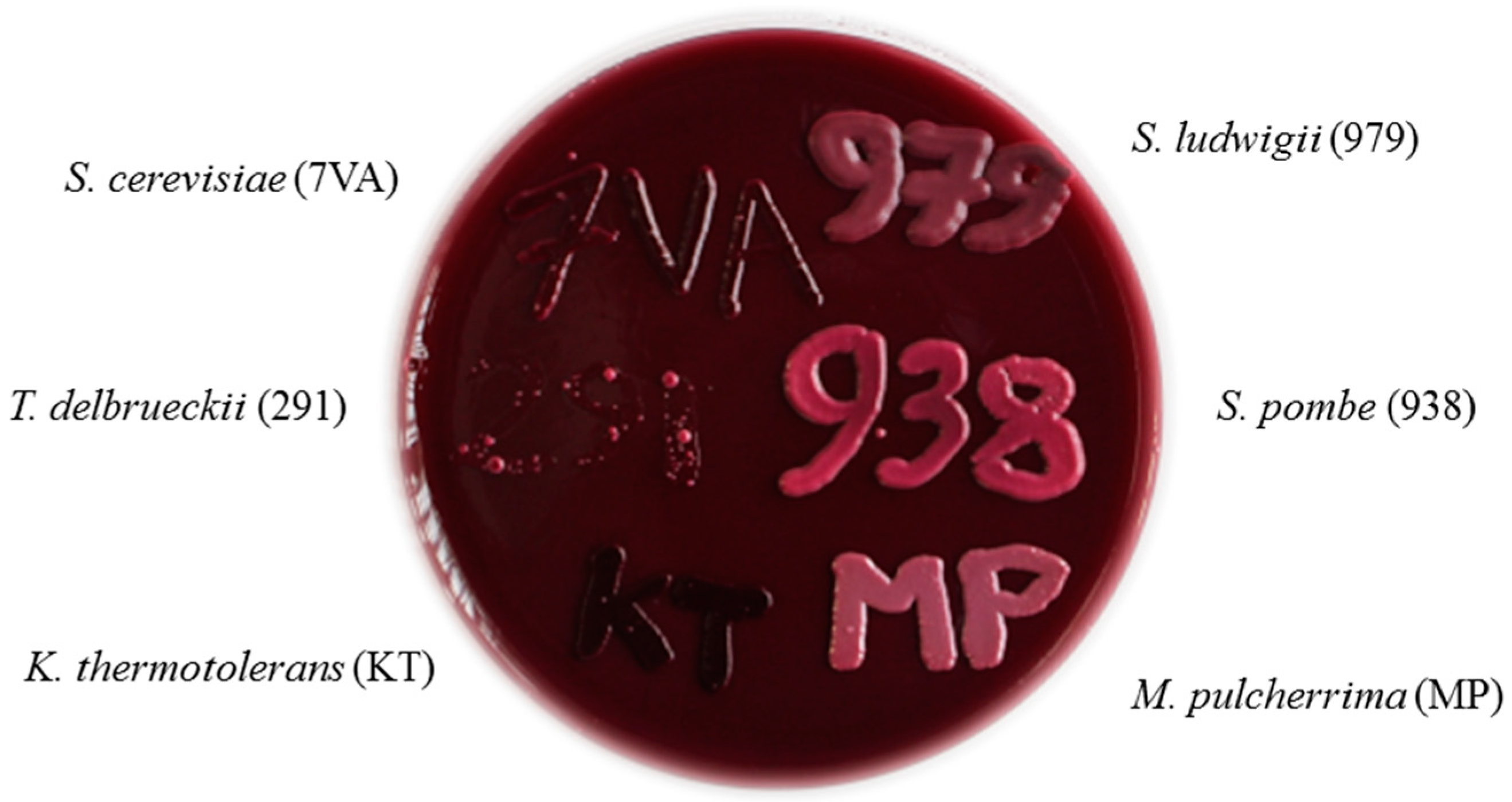 Fermentation 04 00070 g004 550