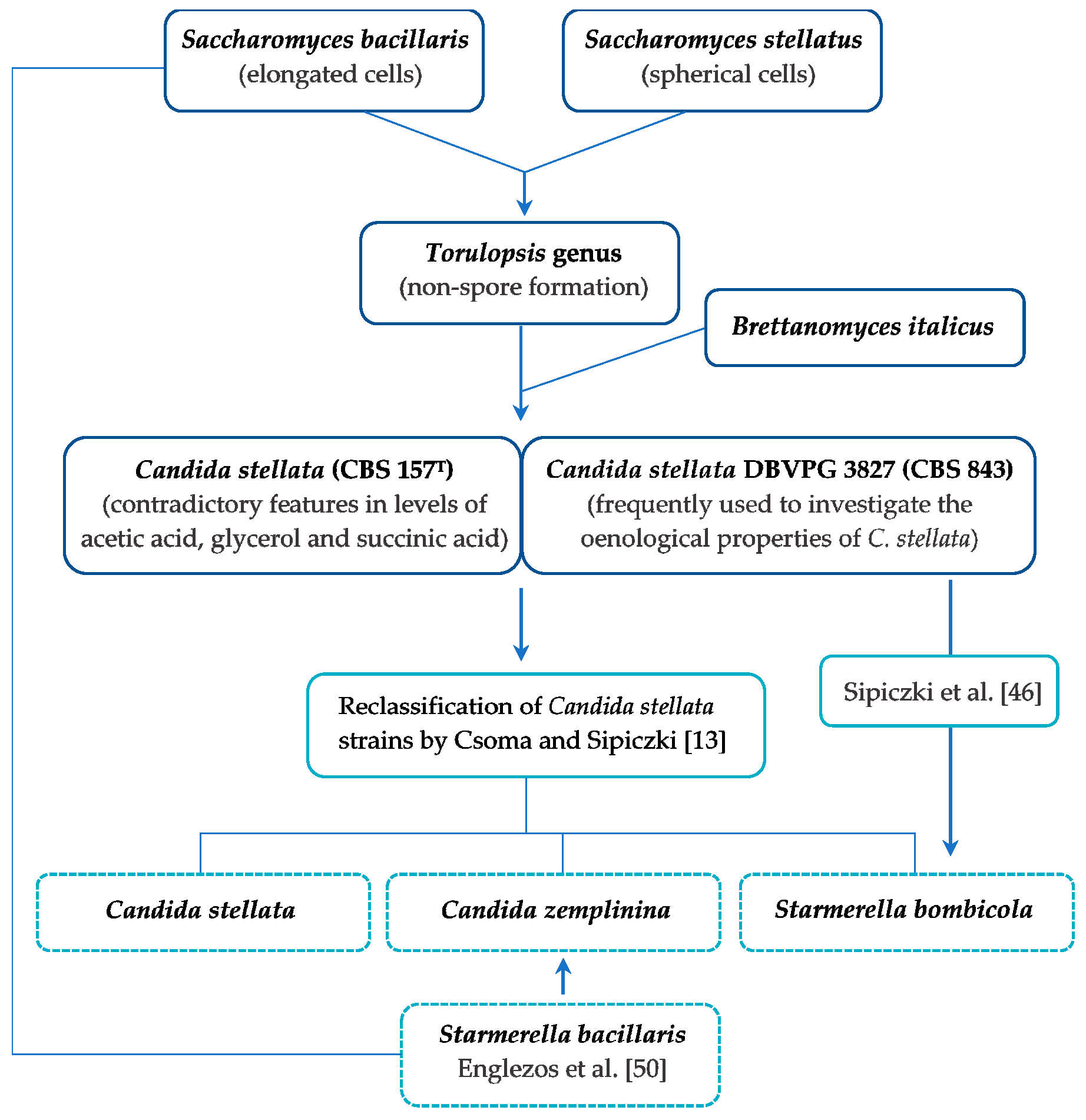 Fermentation 04 00074 g001