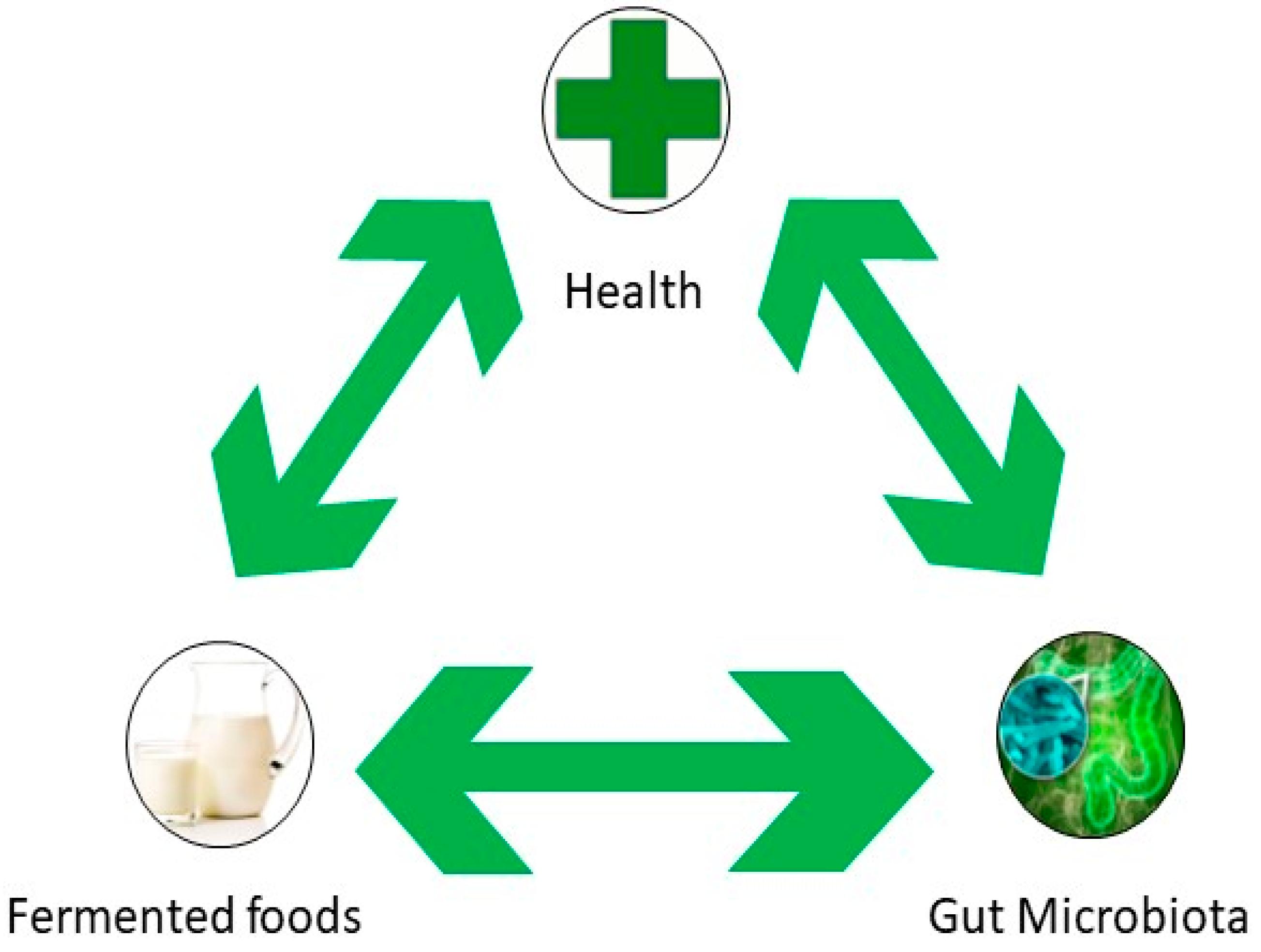 Gut health and fermentation
