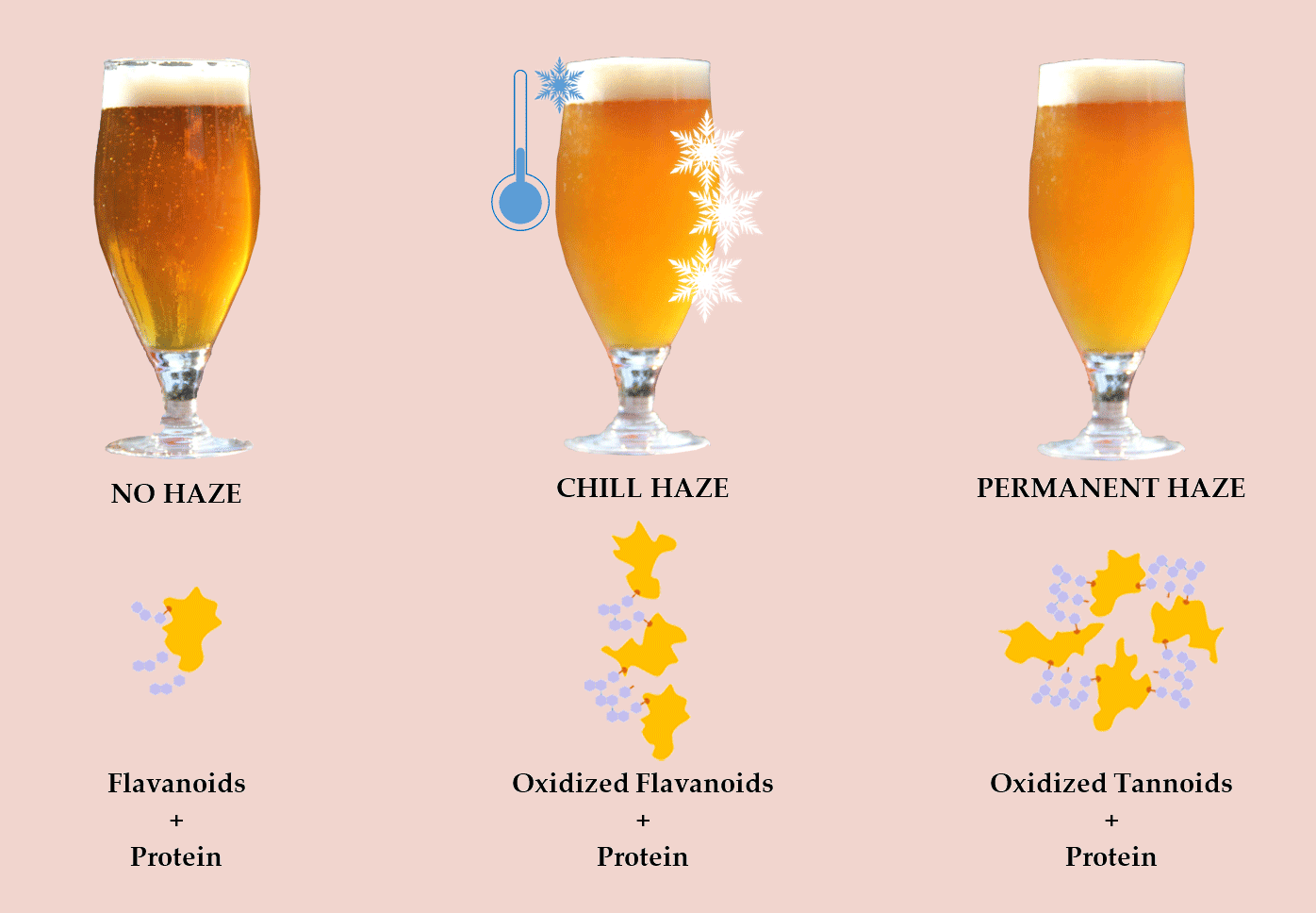 Fermentation Free FullText BeerThe Importance of Colloidal
