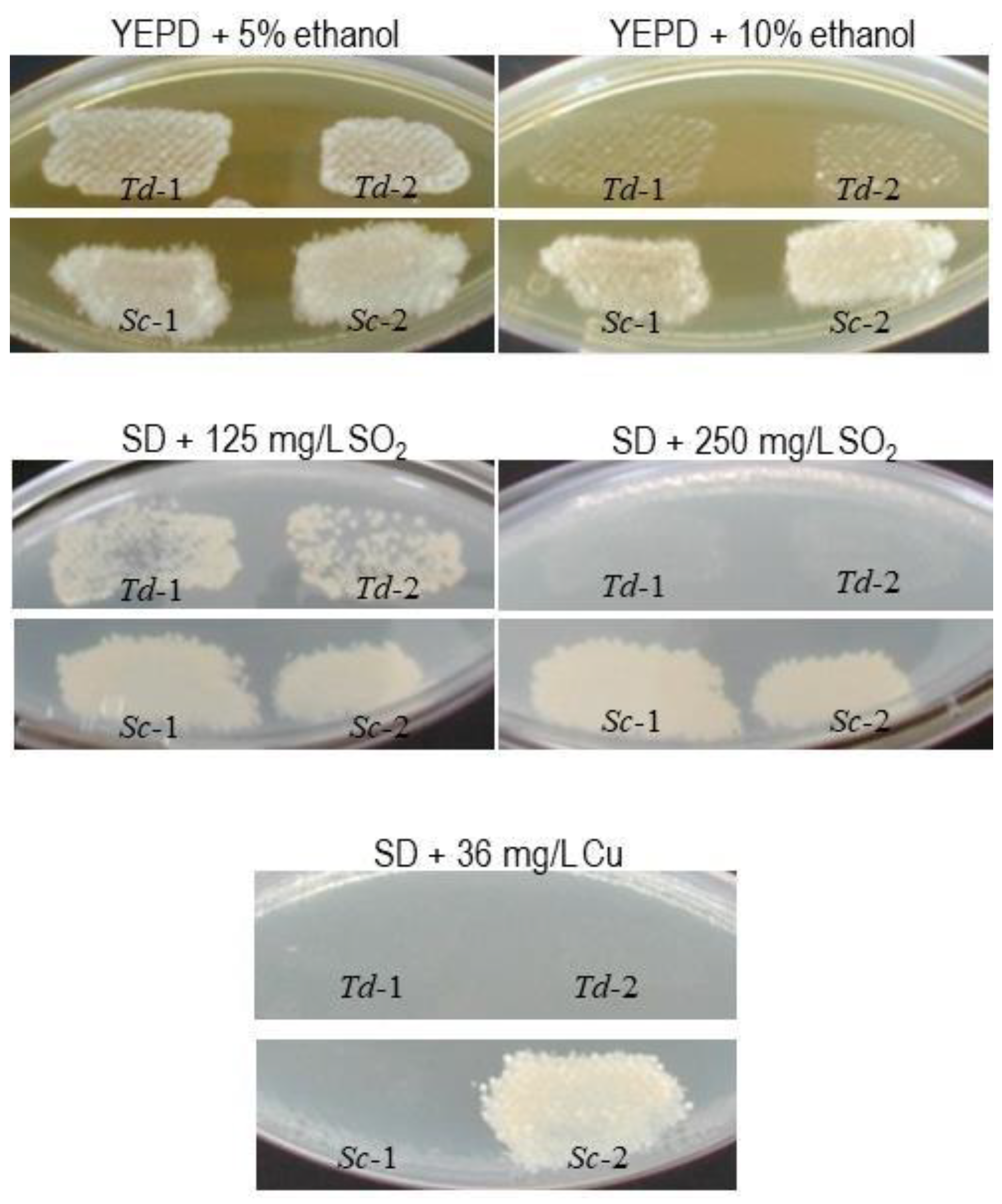 Fermentation 04 00094 g002