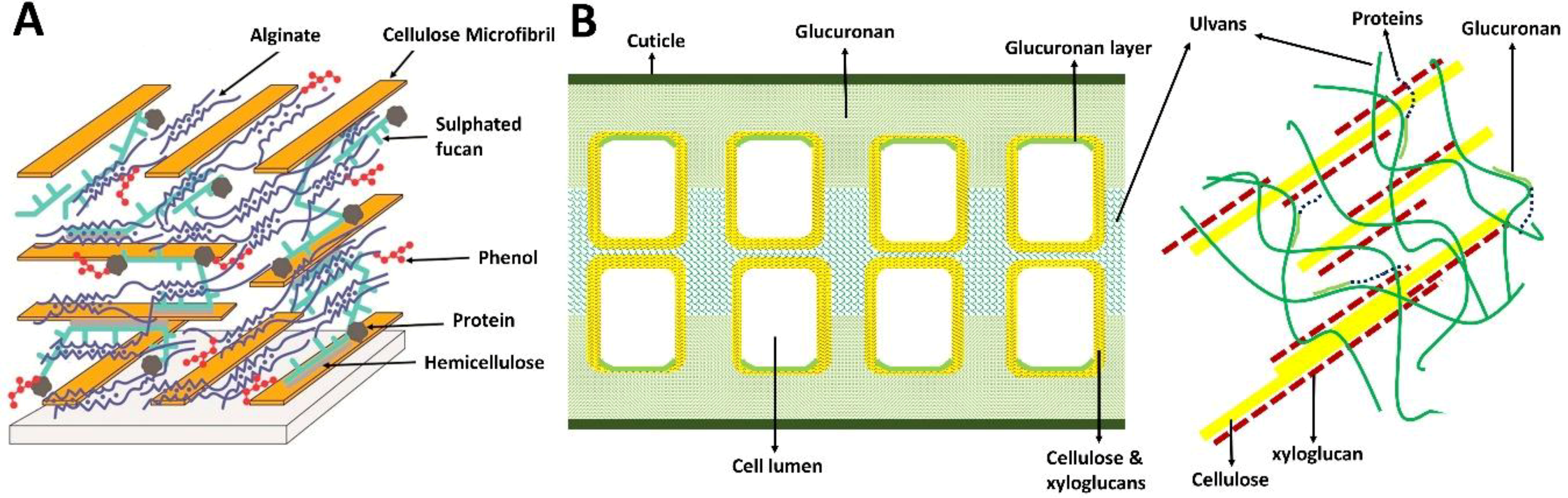 Fermentation 04 00100 g002 Fermentation 04 00100 g002