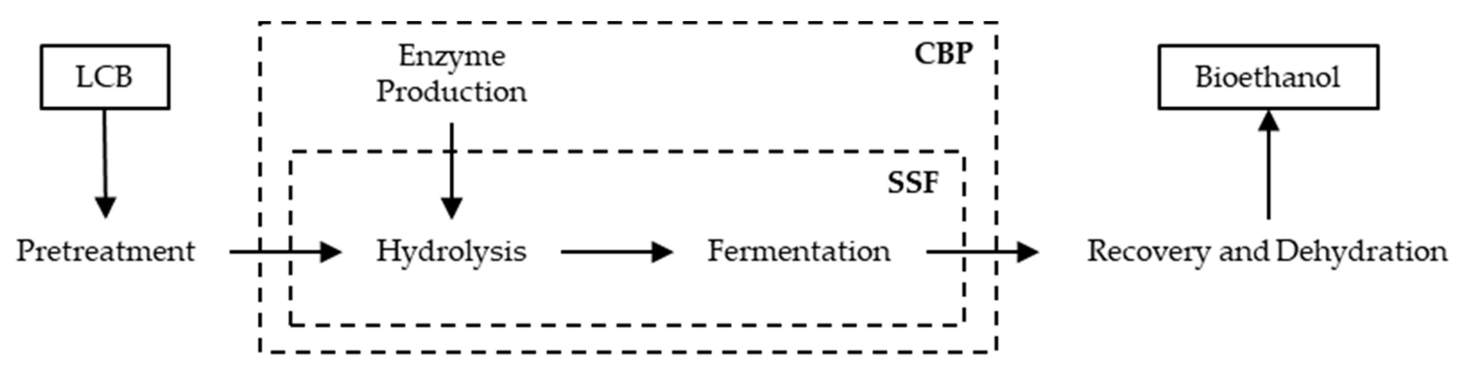 Fermentation 05 00004 g003 Fermentation 05 00004 g003