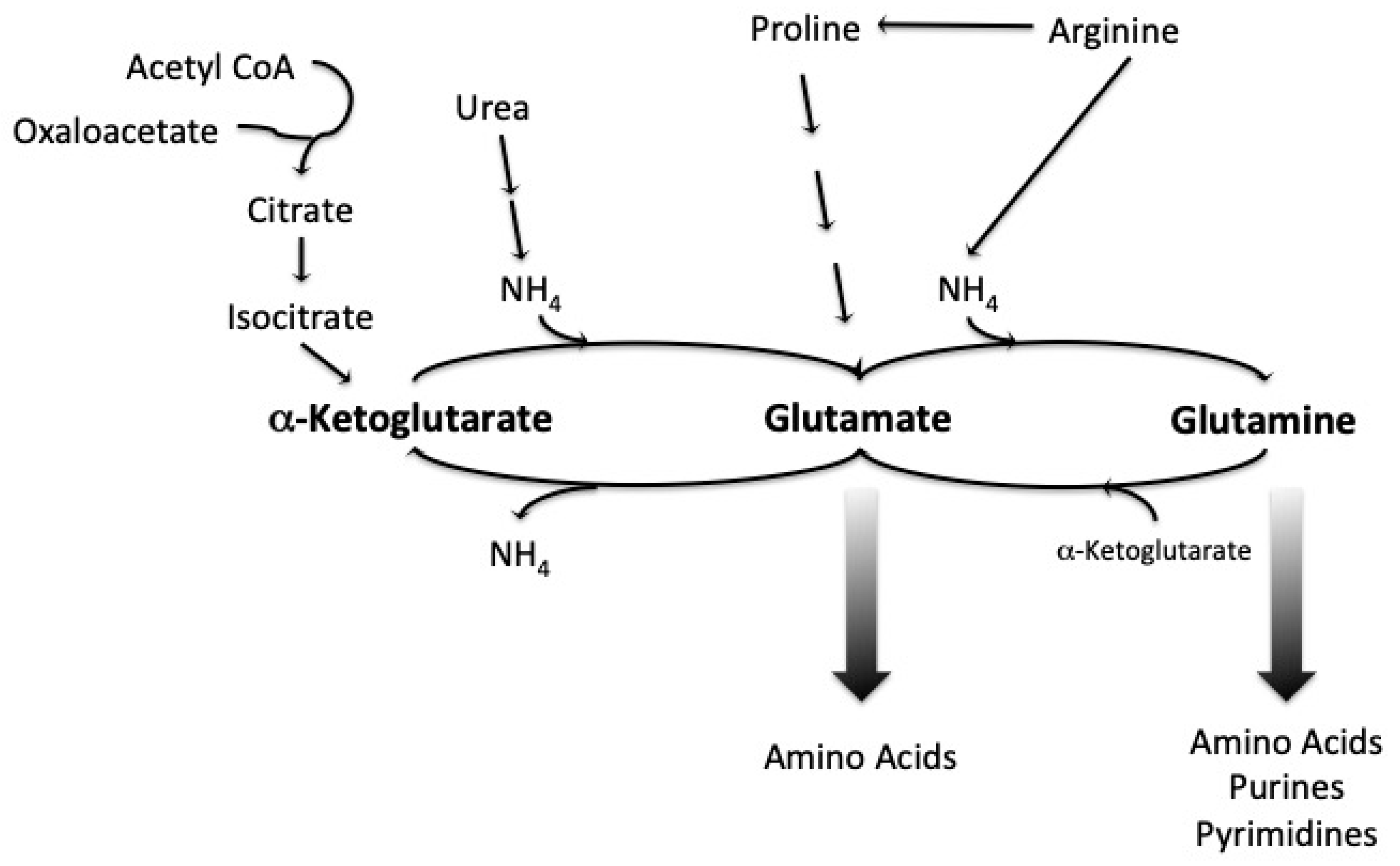 Fermentation 05 00022 g002