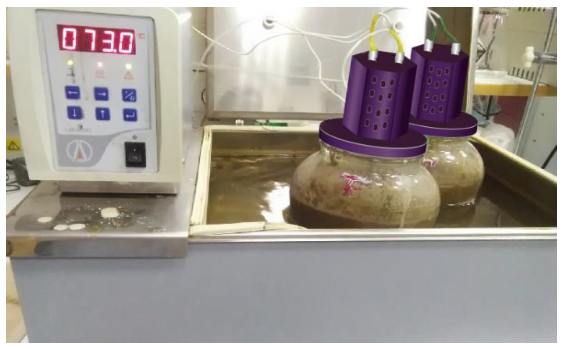 Fermentation 05 00024 g001