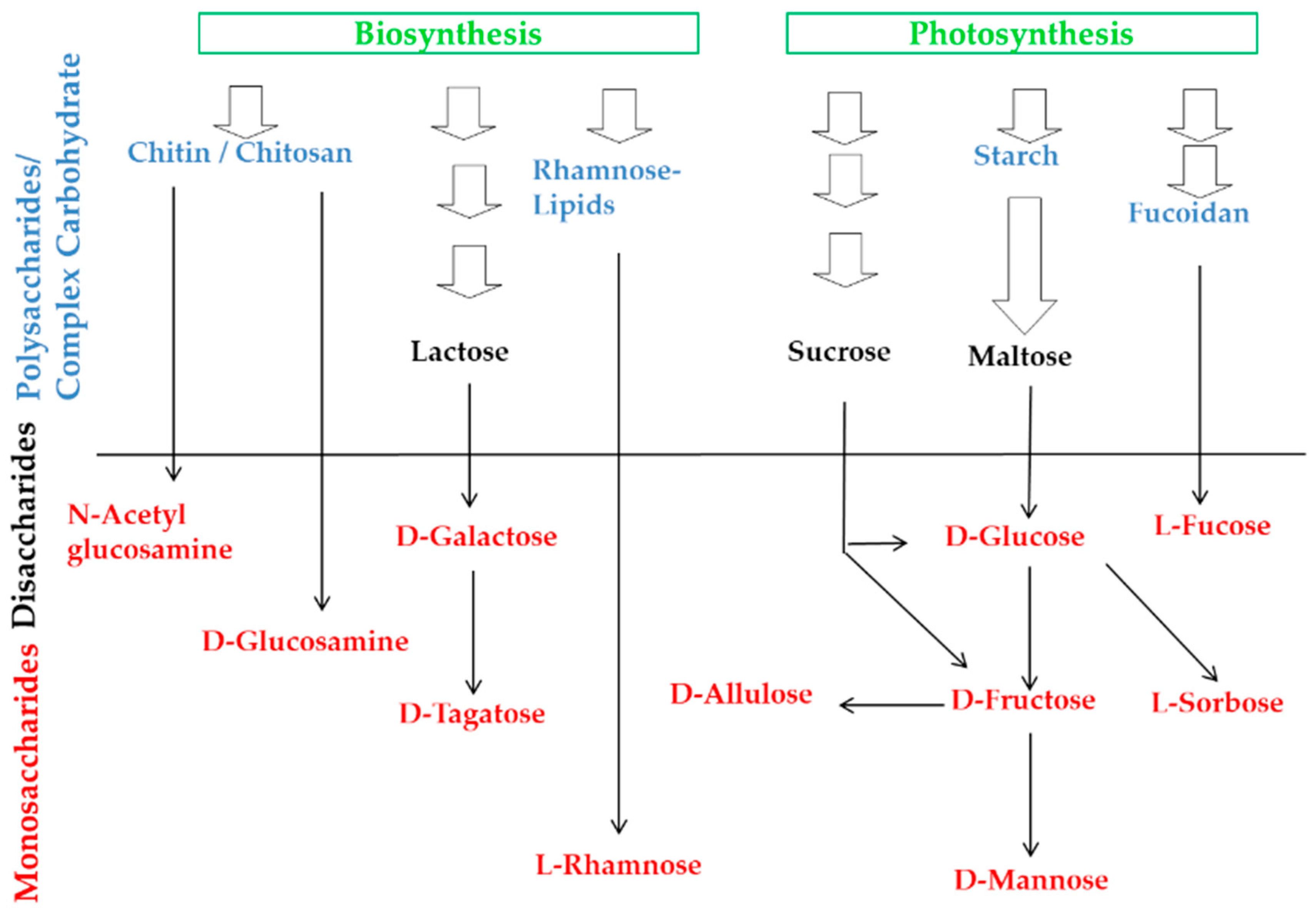 Fermentation 05 00047 g001 Fermentation 05 00047 g001
