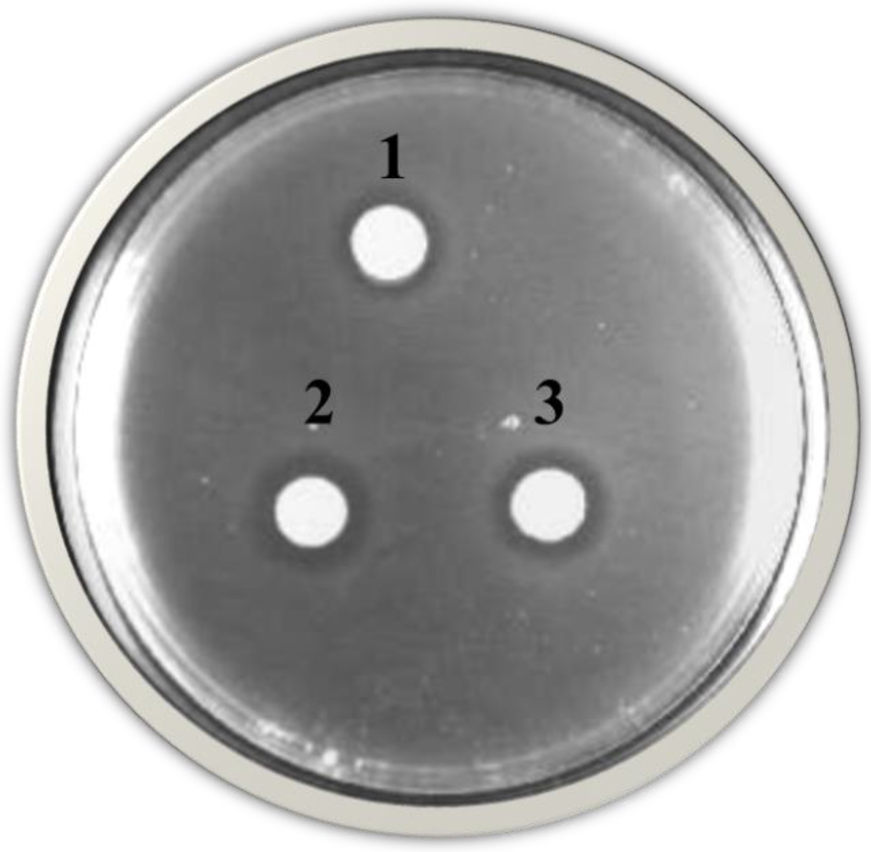 Fermentation 05 00053 g001