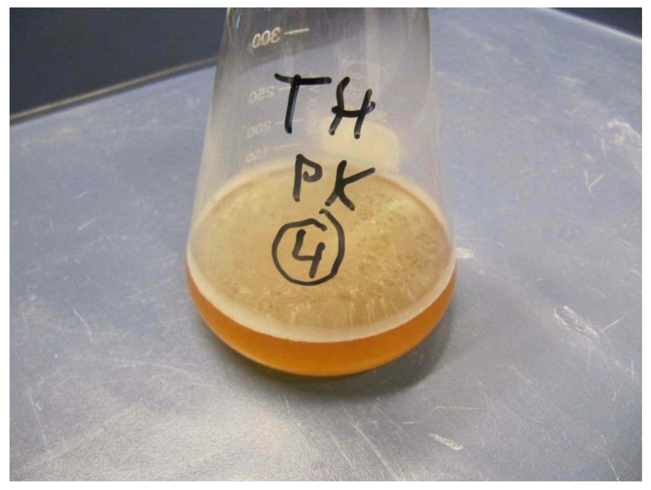 Fermentation 05 00054 g002