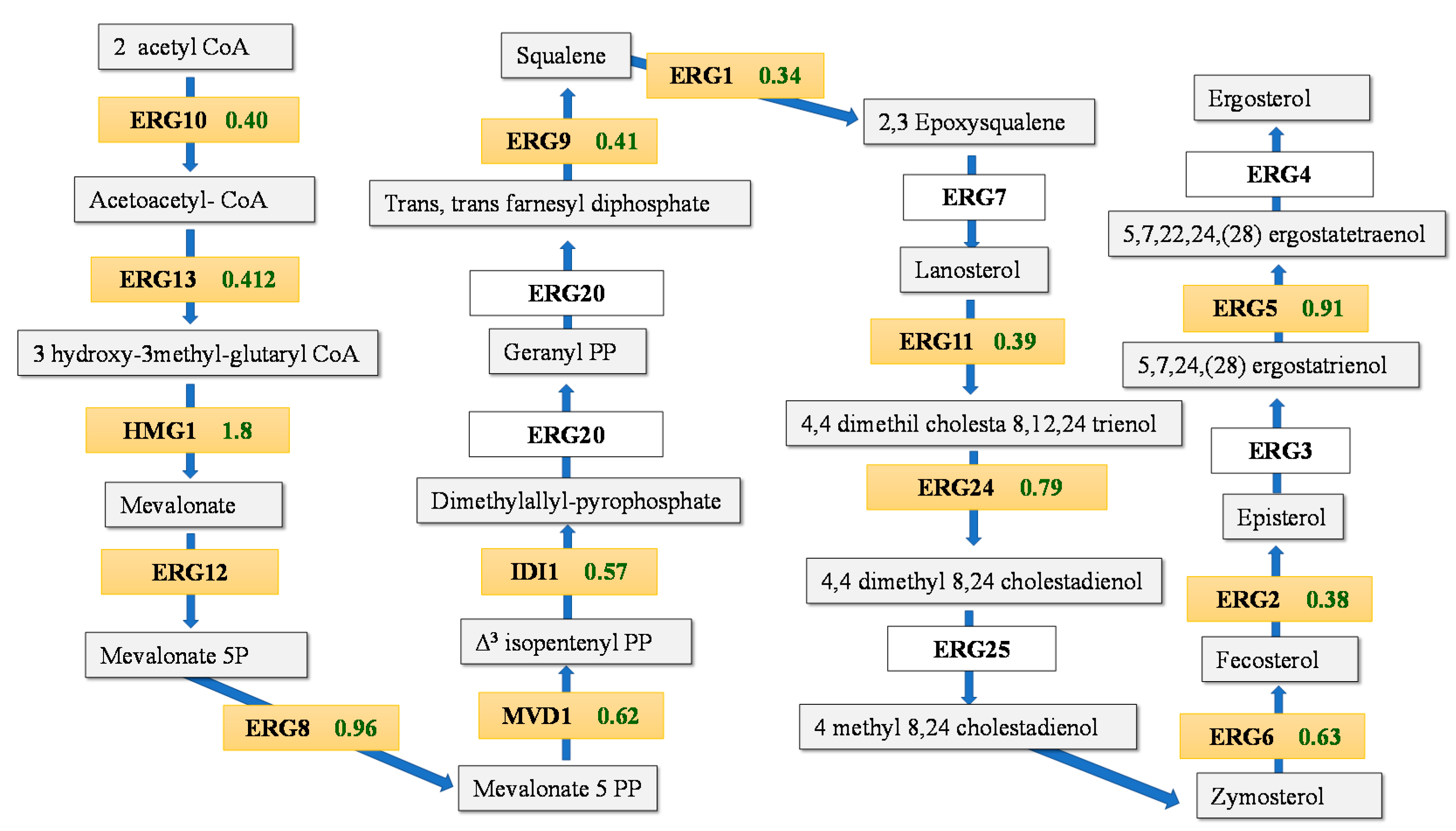 Fermentation 05 00057 g003 Fermentation 05 00057 g003