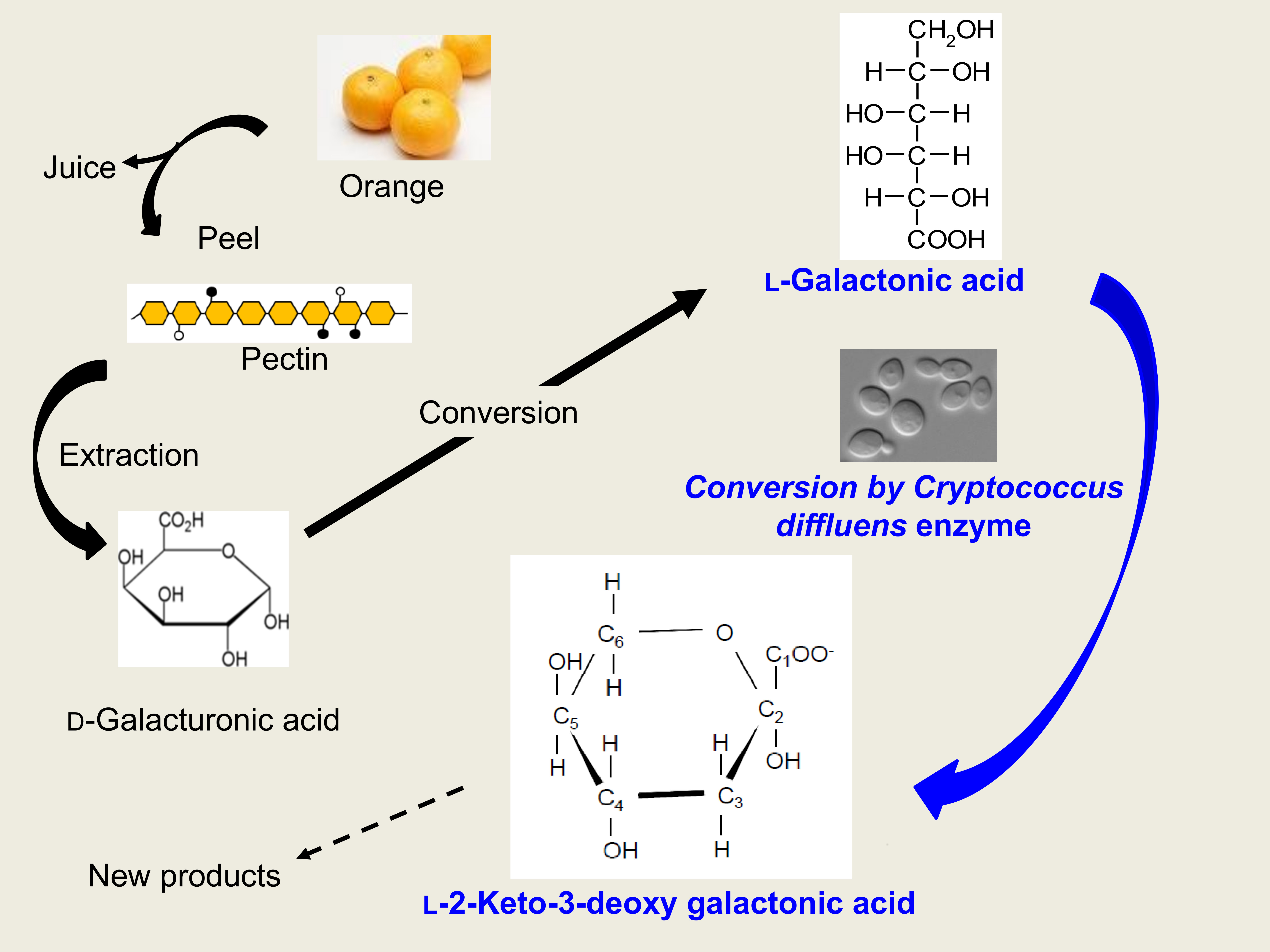 Food Safety Management Chapter 19 Acids And Fermentation Read Online ... - Fermentation 05 00073 Ag