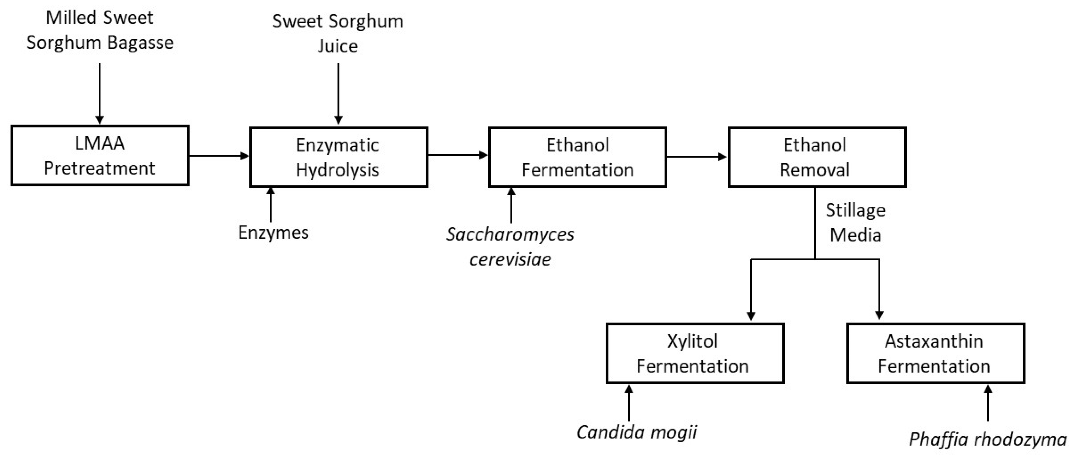 Fermentation 05 00084 g001