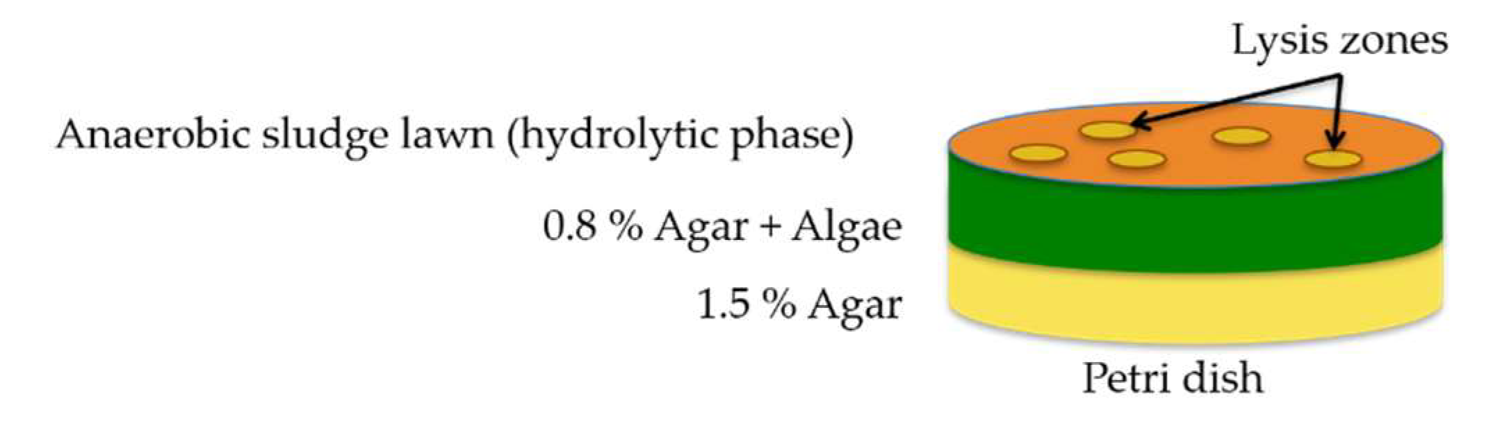 Fermentation 05 00088 g001 Fermentation 05 00088 g001