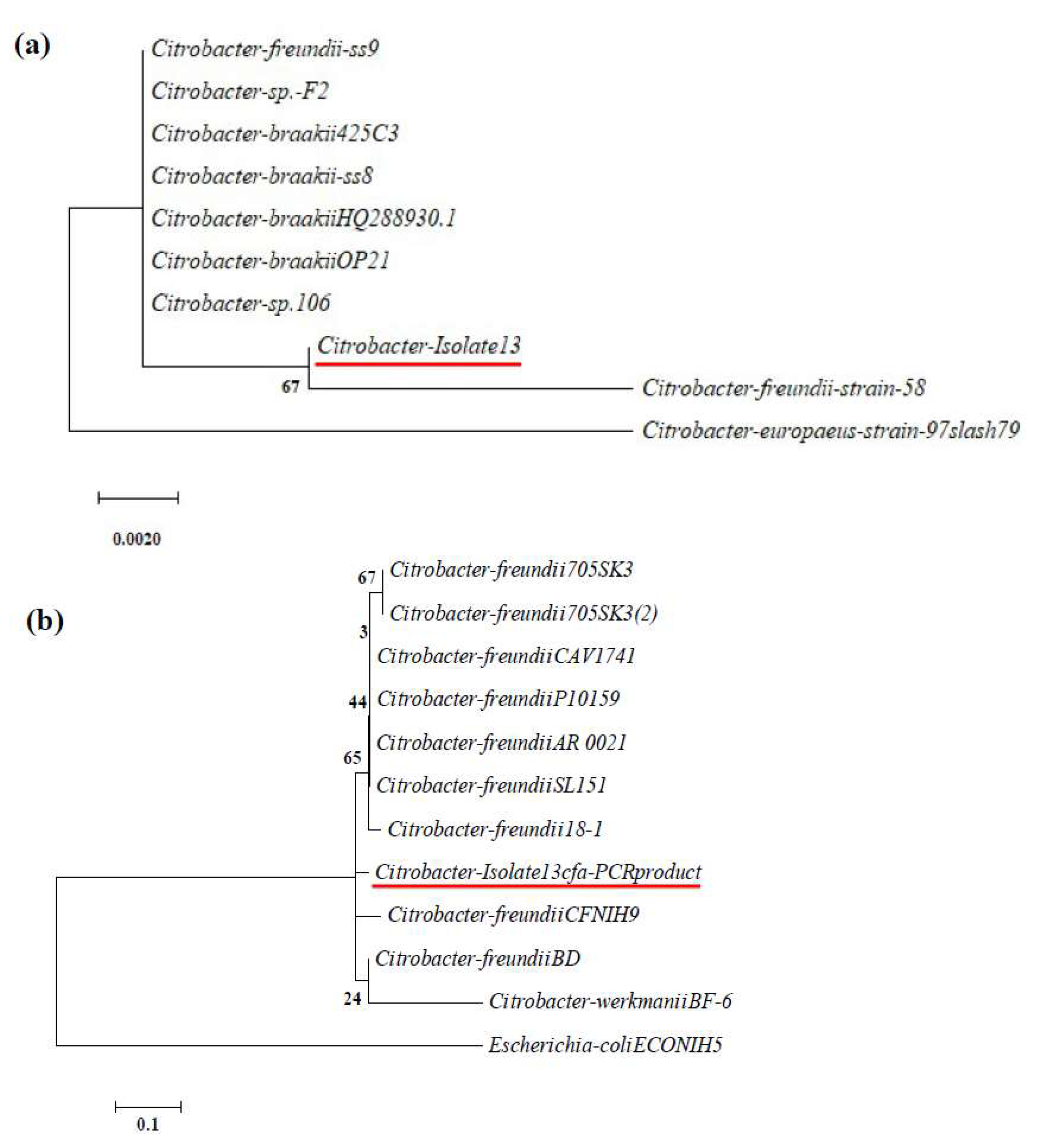 Fermentation 05 00088 g002 Fermentation 05 00088 g002
